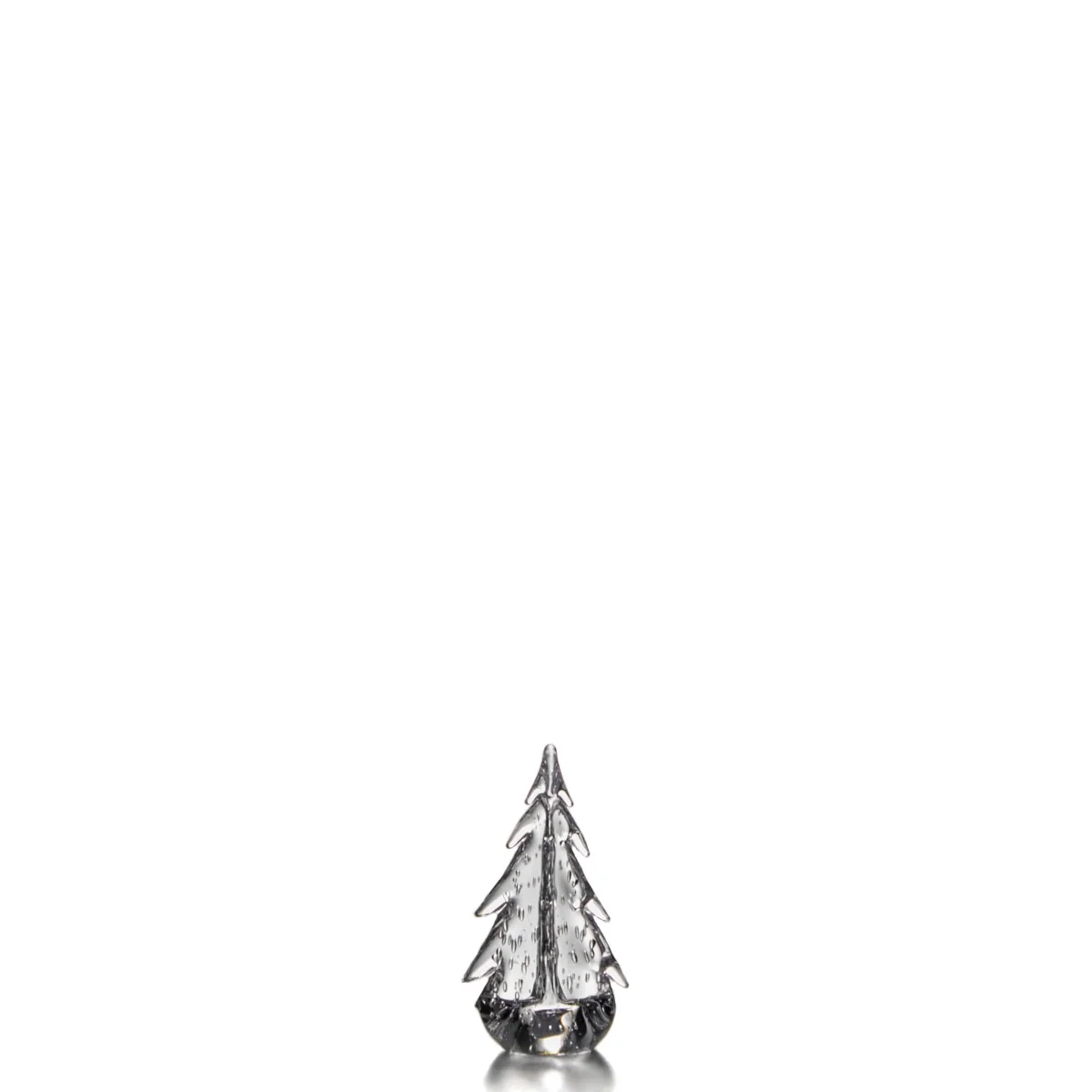 Bubble Evergreen - 8 Inch 2nd