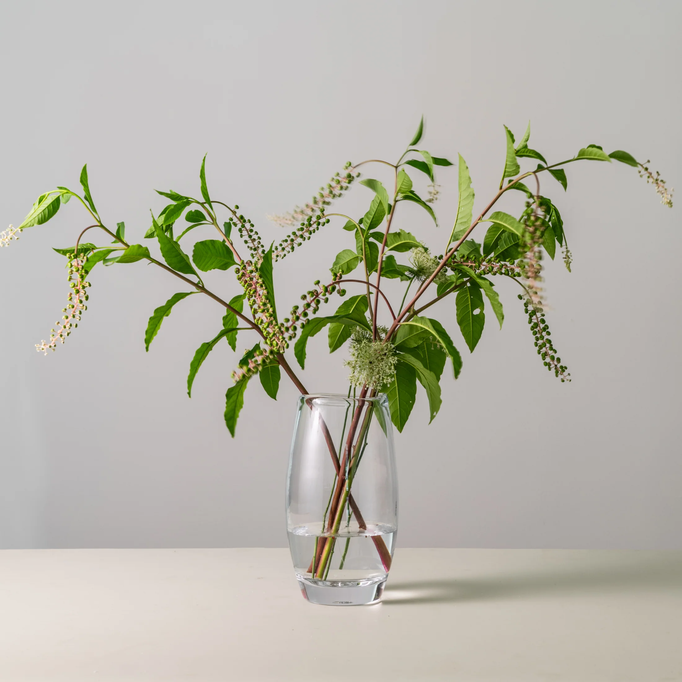 Burlington Vase - L - Image 2