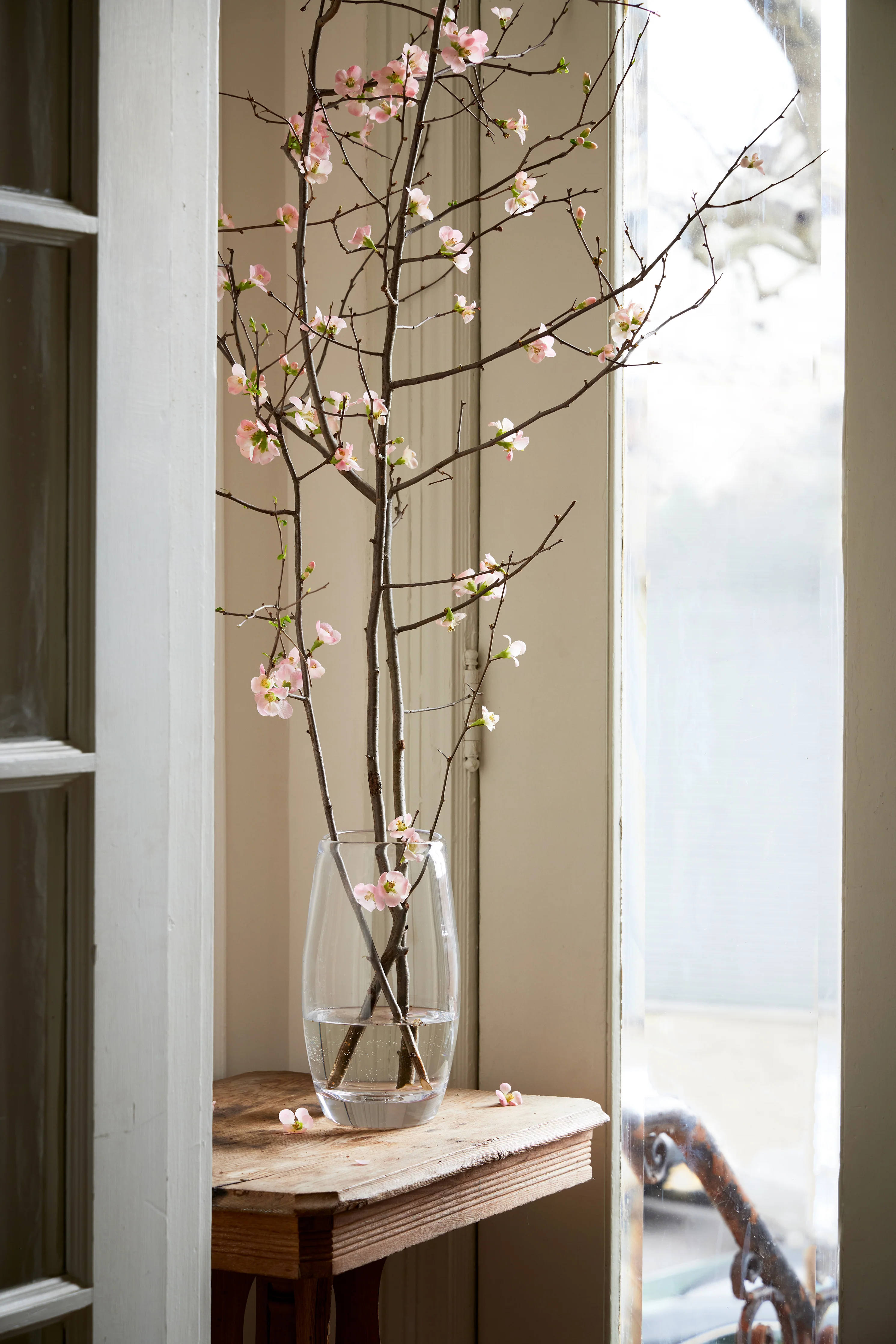 Burlington Vase - L - Image 4