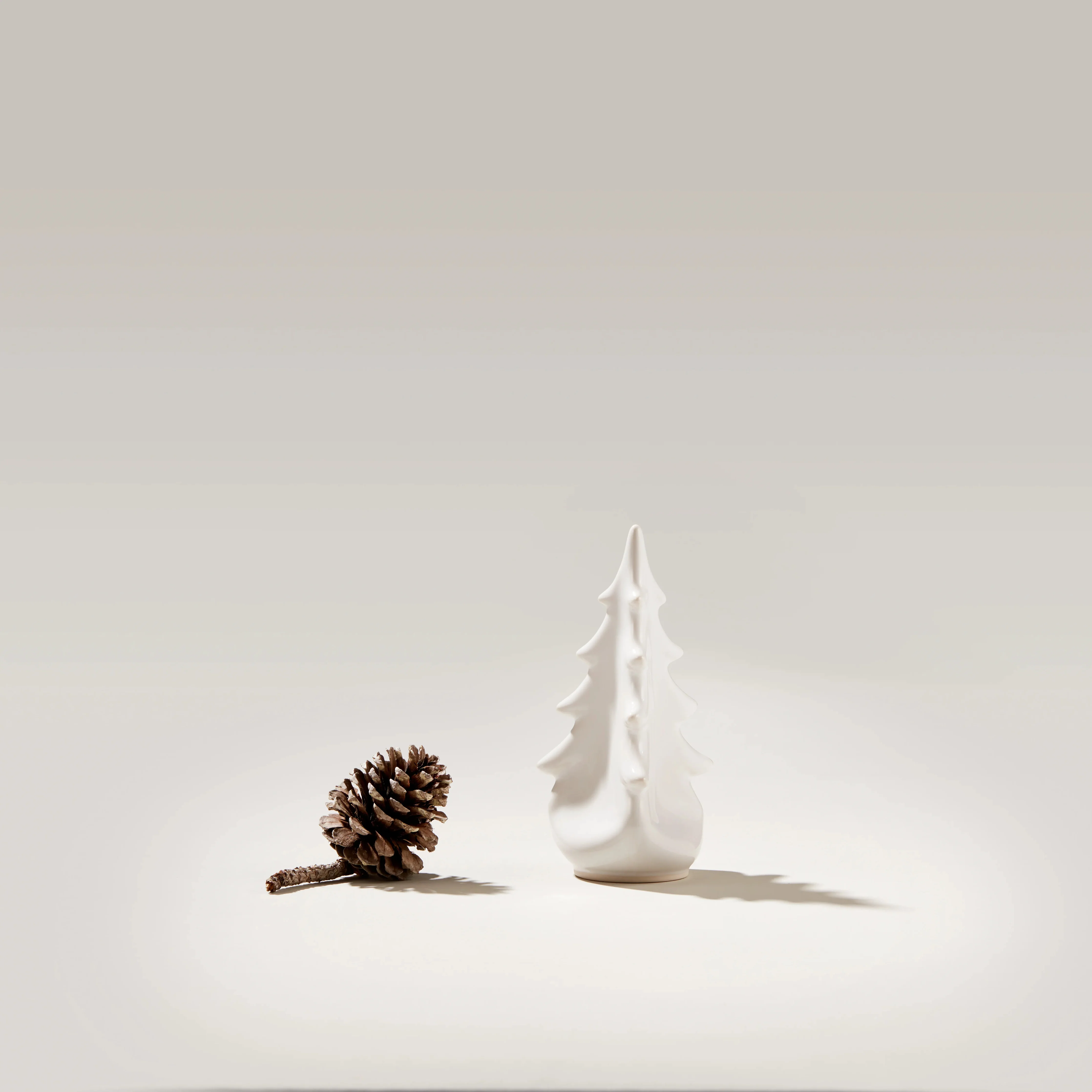 Pottery Evergreen – Dove - Image 3
