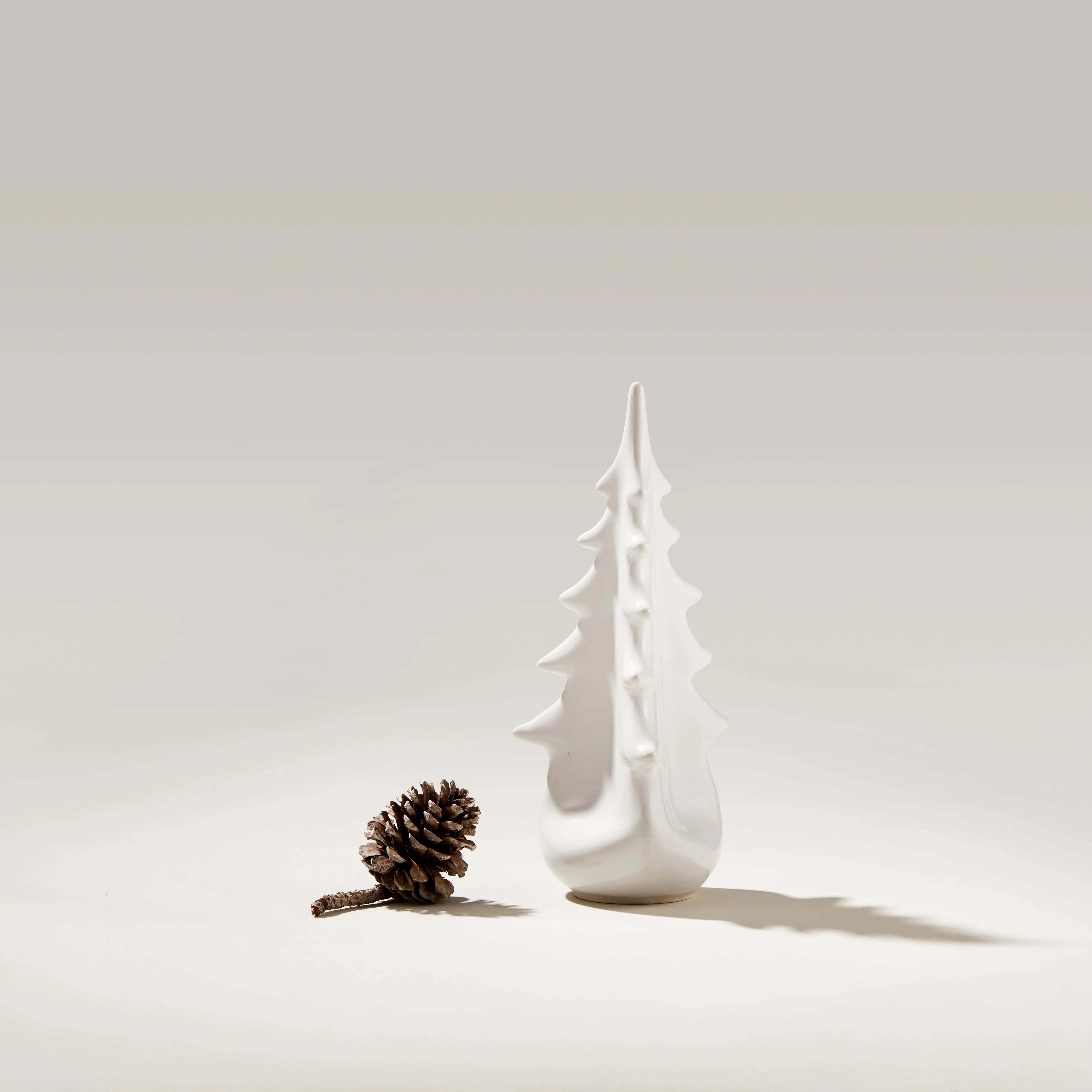 Pottery Evergreen – Dove - Image 4