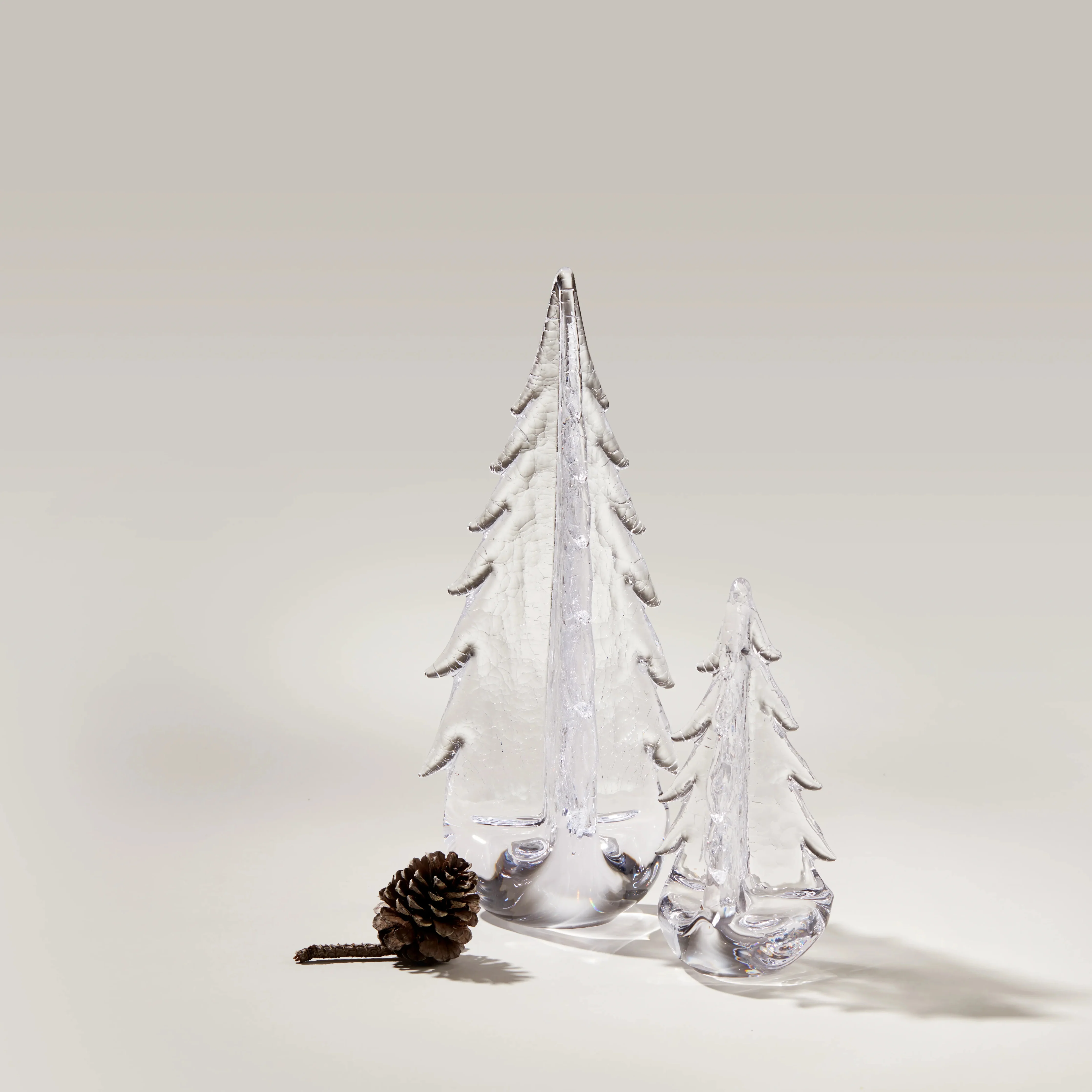 Crackle Evergreen in Gift Box - Image 2