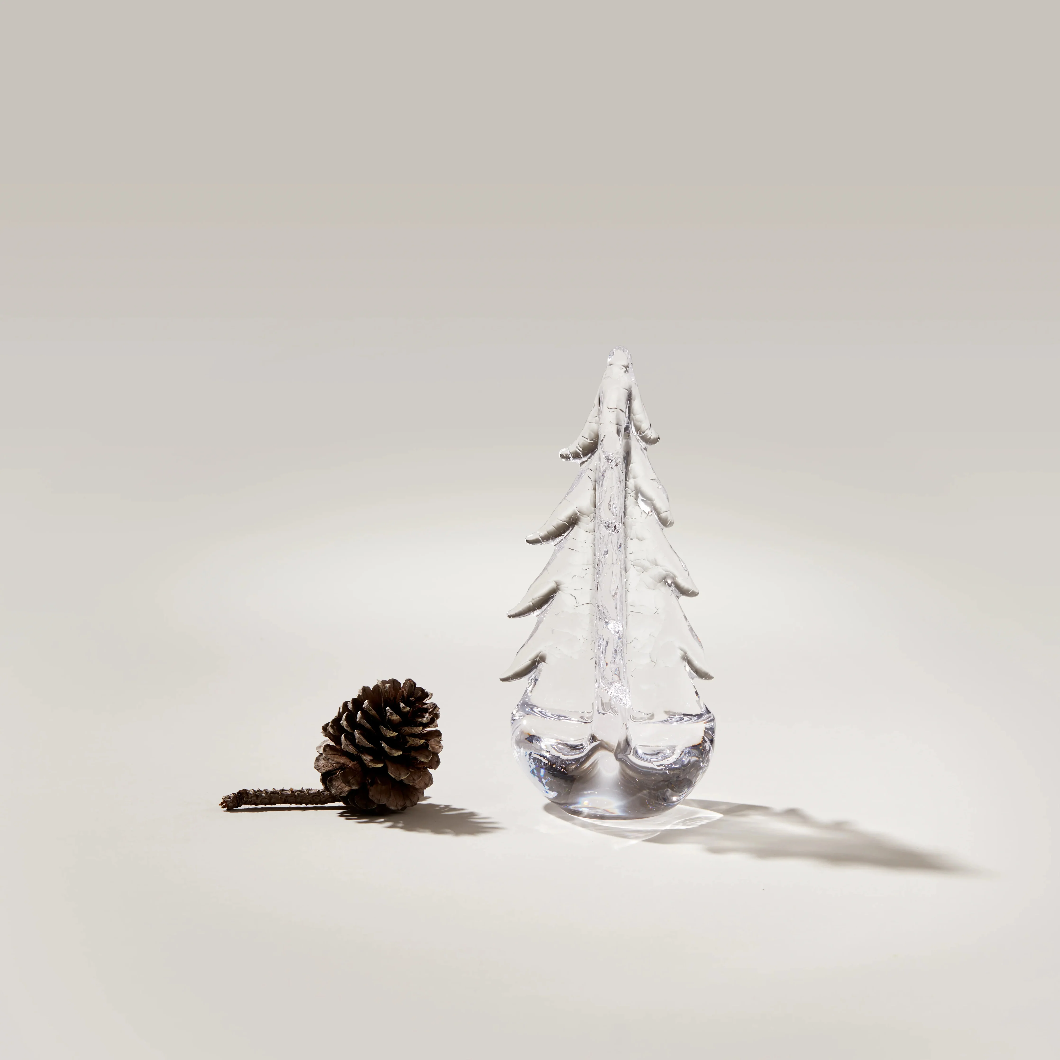 Crackle Evergreen in Gift Box - Image 3
