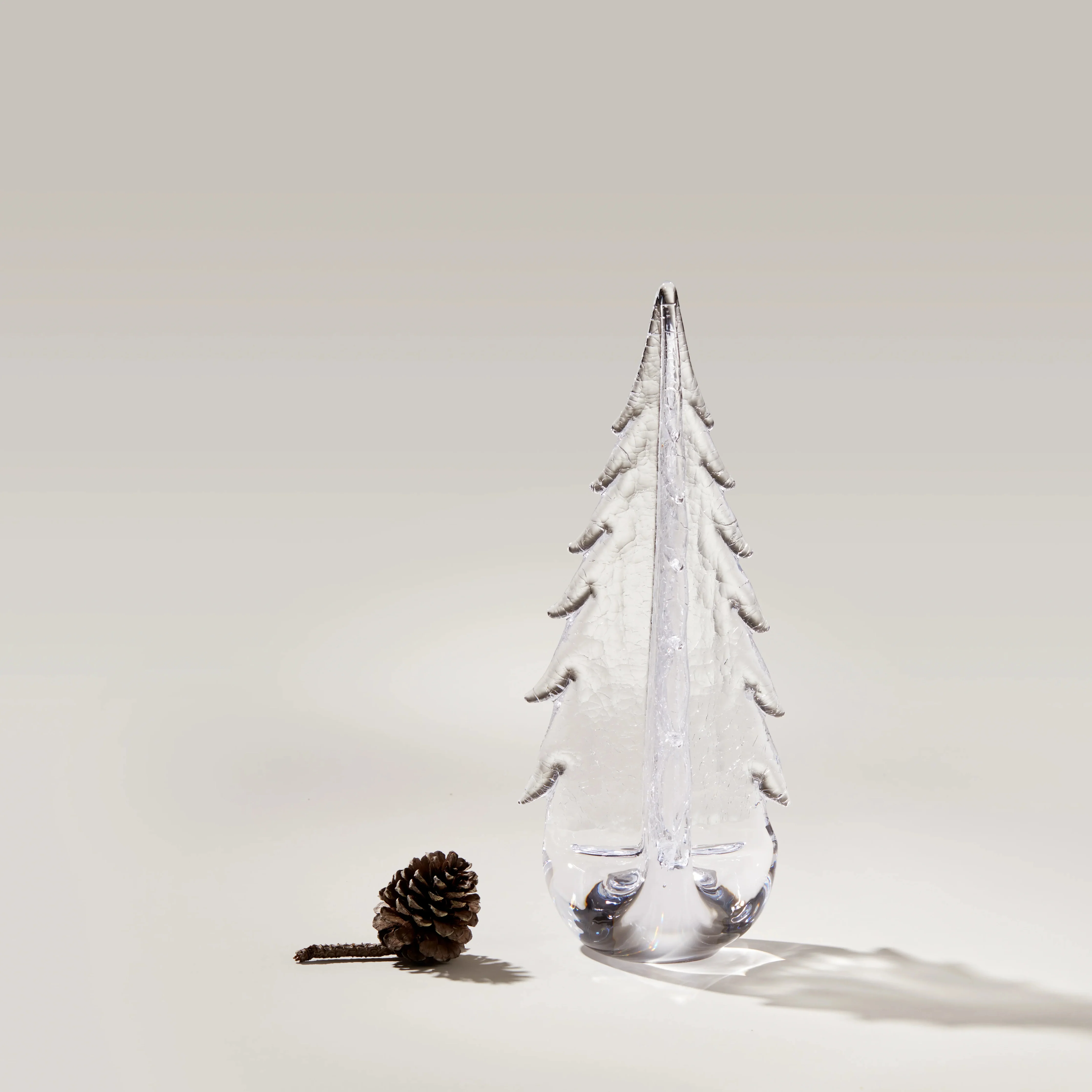 Crackle Evergreen in Gift Box - Image 4