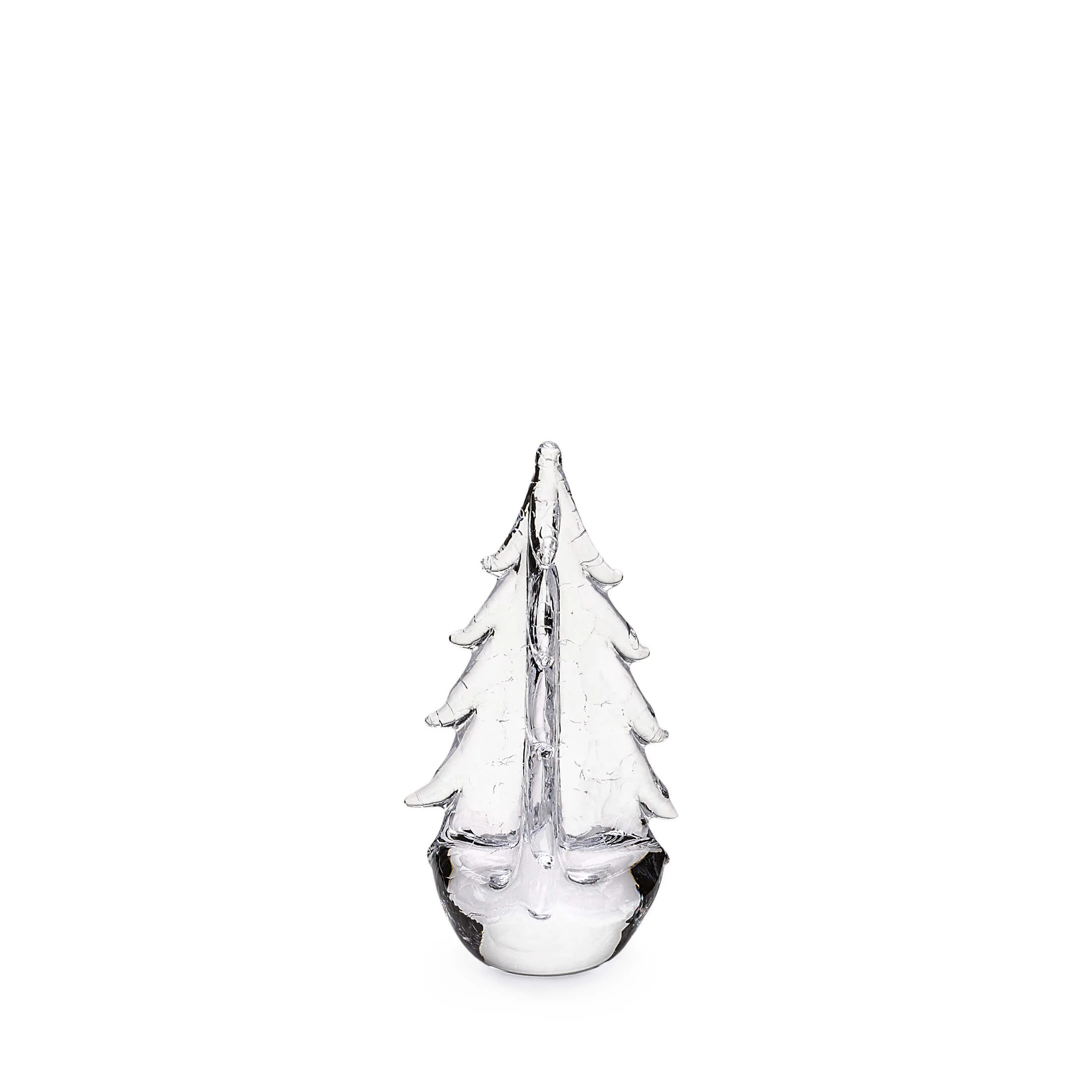 Crackle Evergreen in Gift Box - Image 7