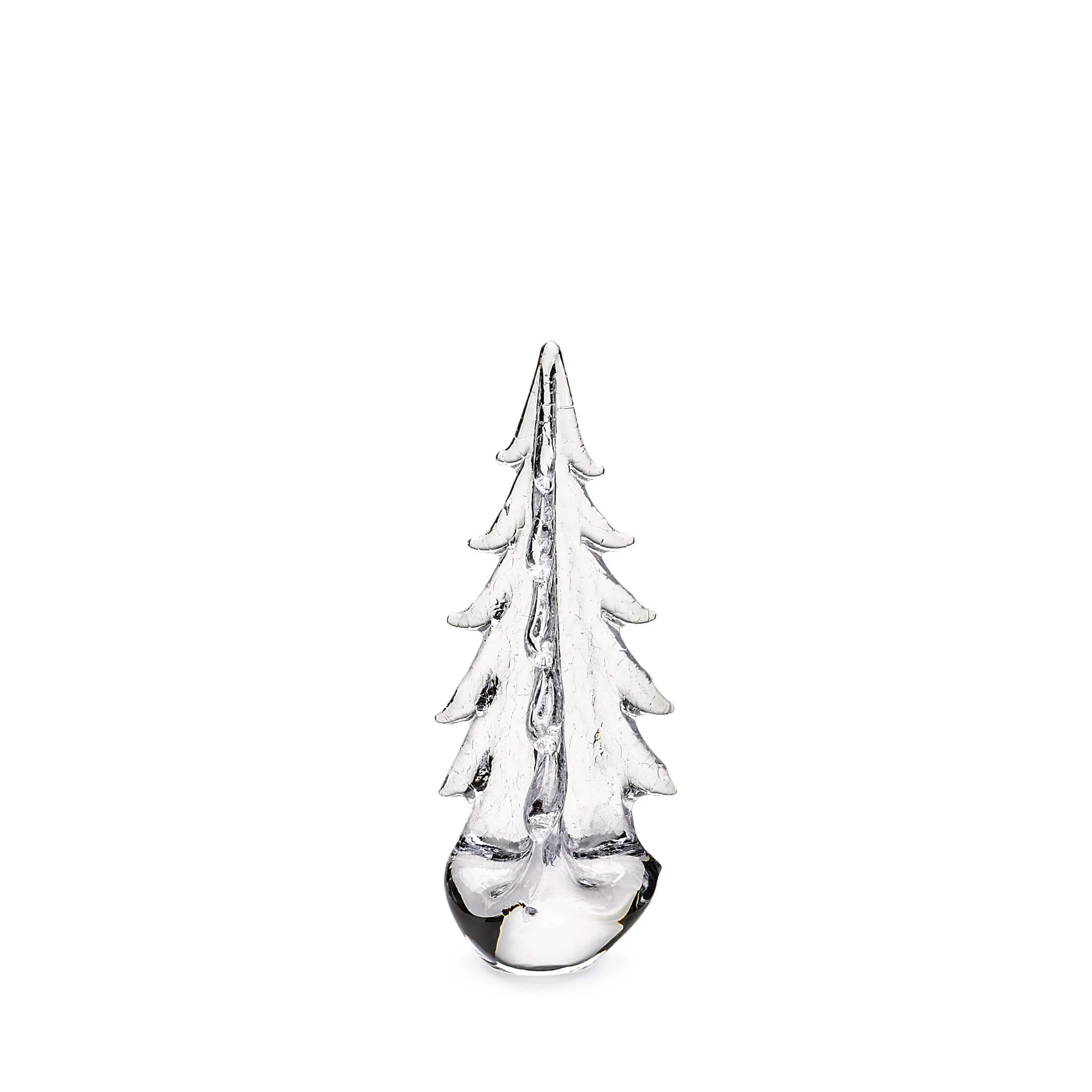 Crackle Evergreen in Gift Box - Image 8