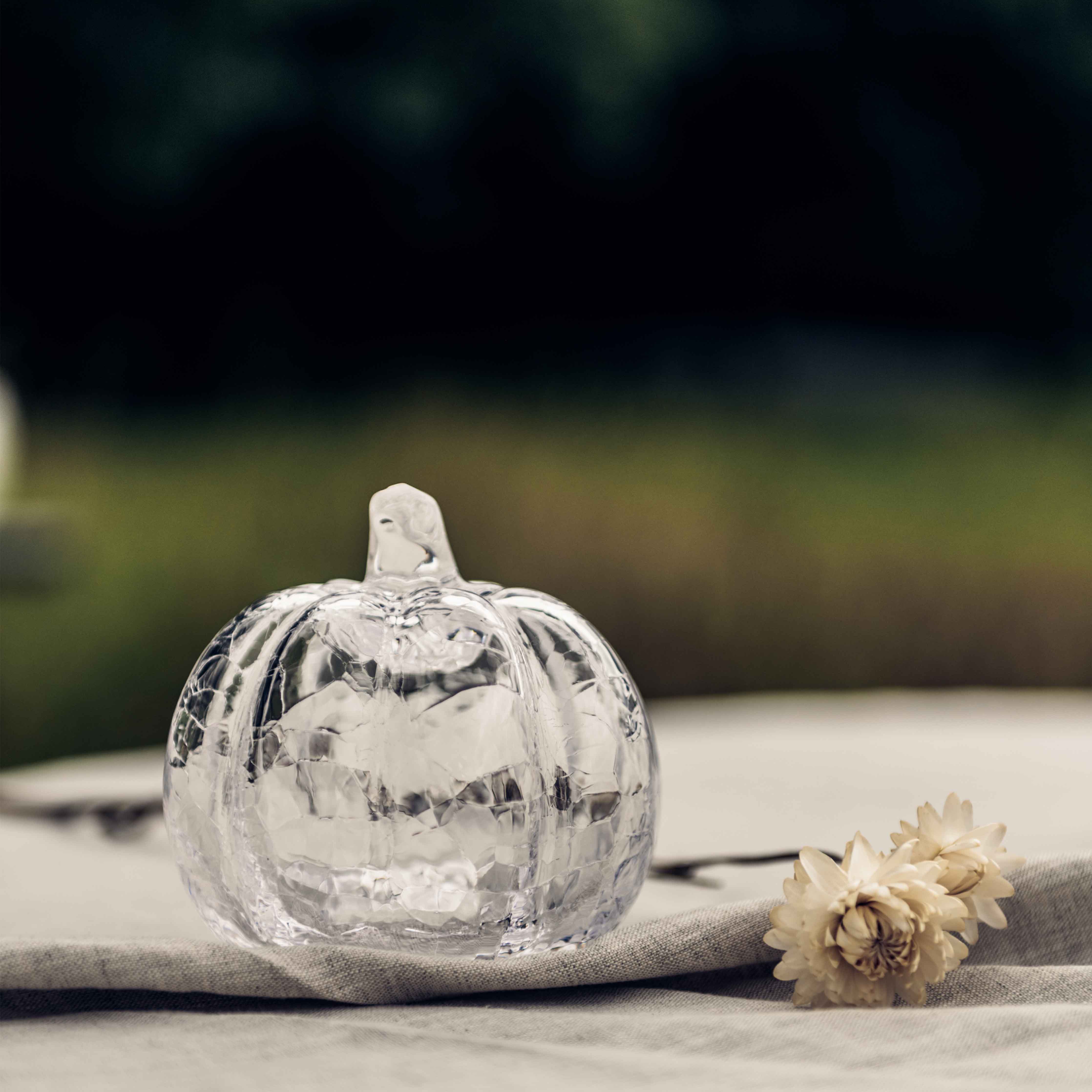 Crackle Pumpkin in Gift Box - Image 8