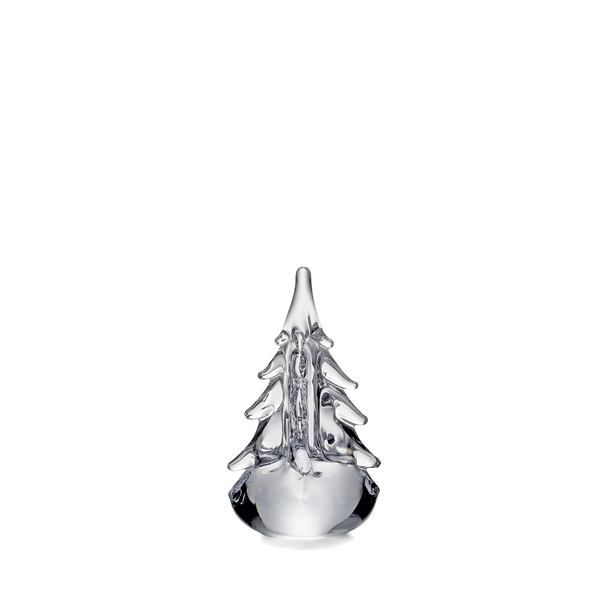 Five Sided Evergreen - 6 Inch 2nd