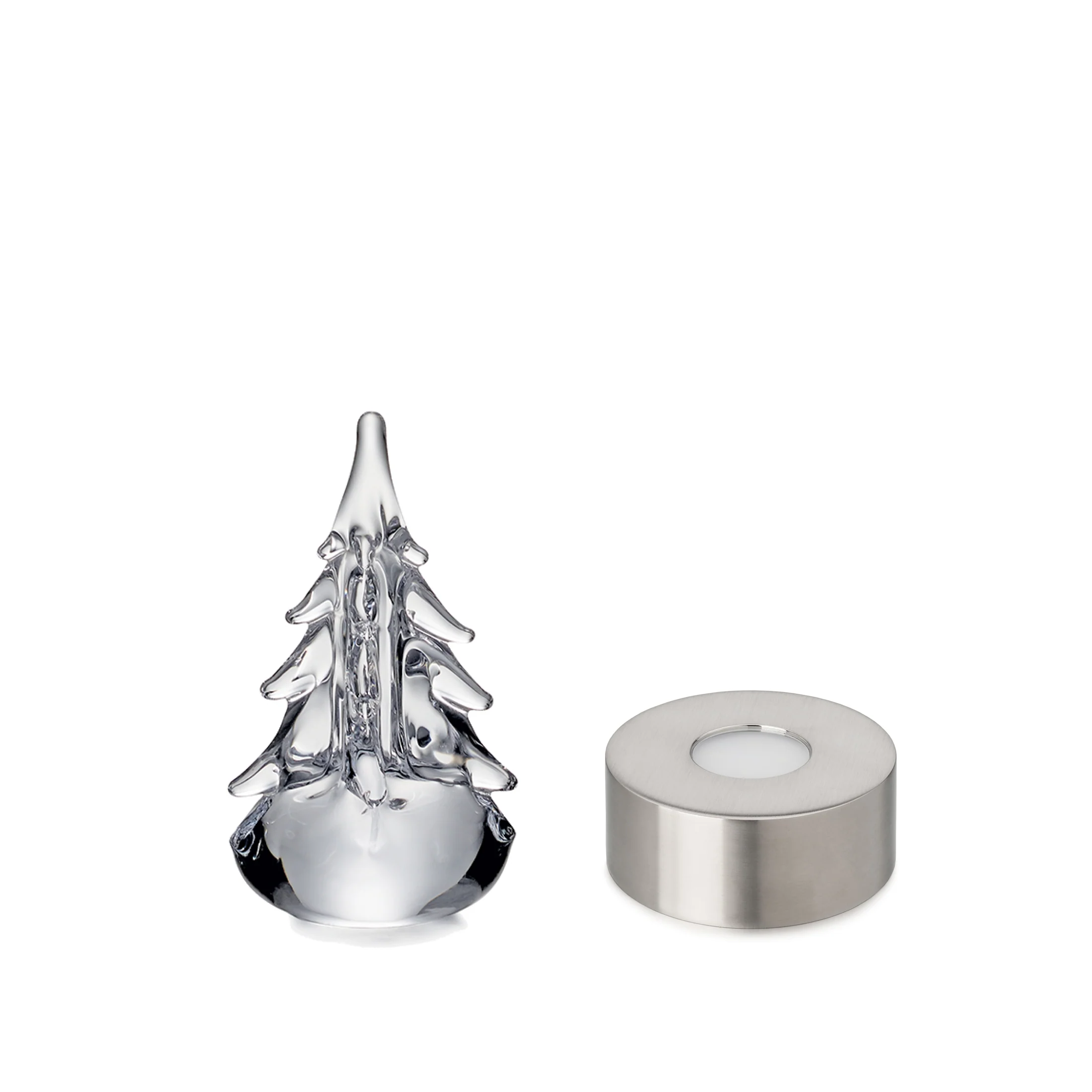 Five Sided Evergreen in Gift Box - Image 13