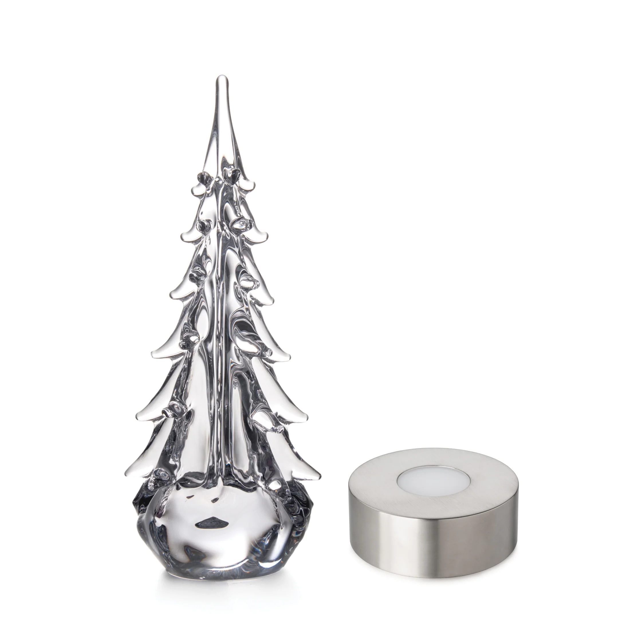 Five Sided Evergreen in Gift Box - Image 14