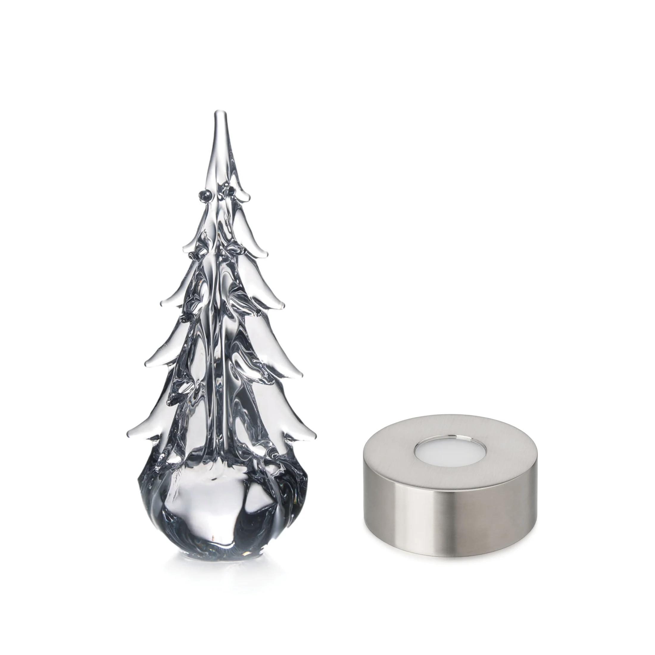 Five Sided Evergreen in Gift Box - Image 15