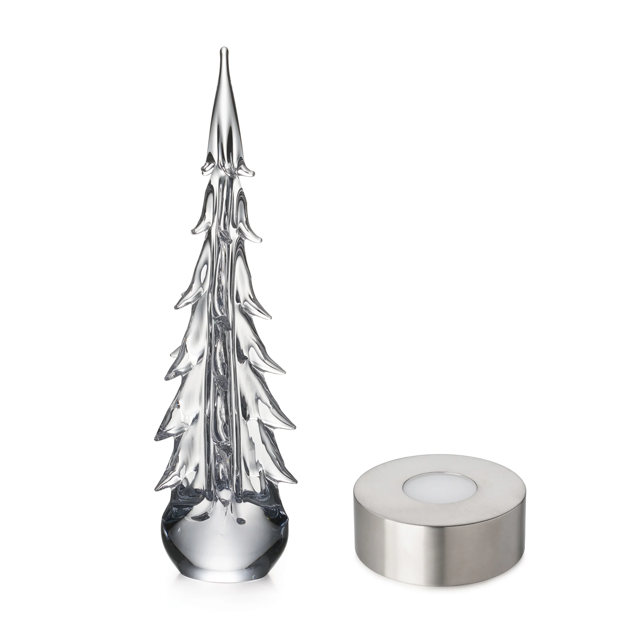 Five Sided Evergreen in Gift Box - Image 16