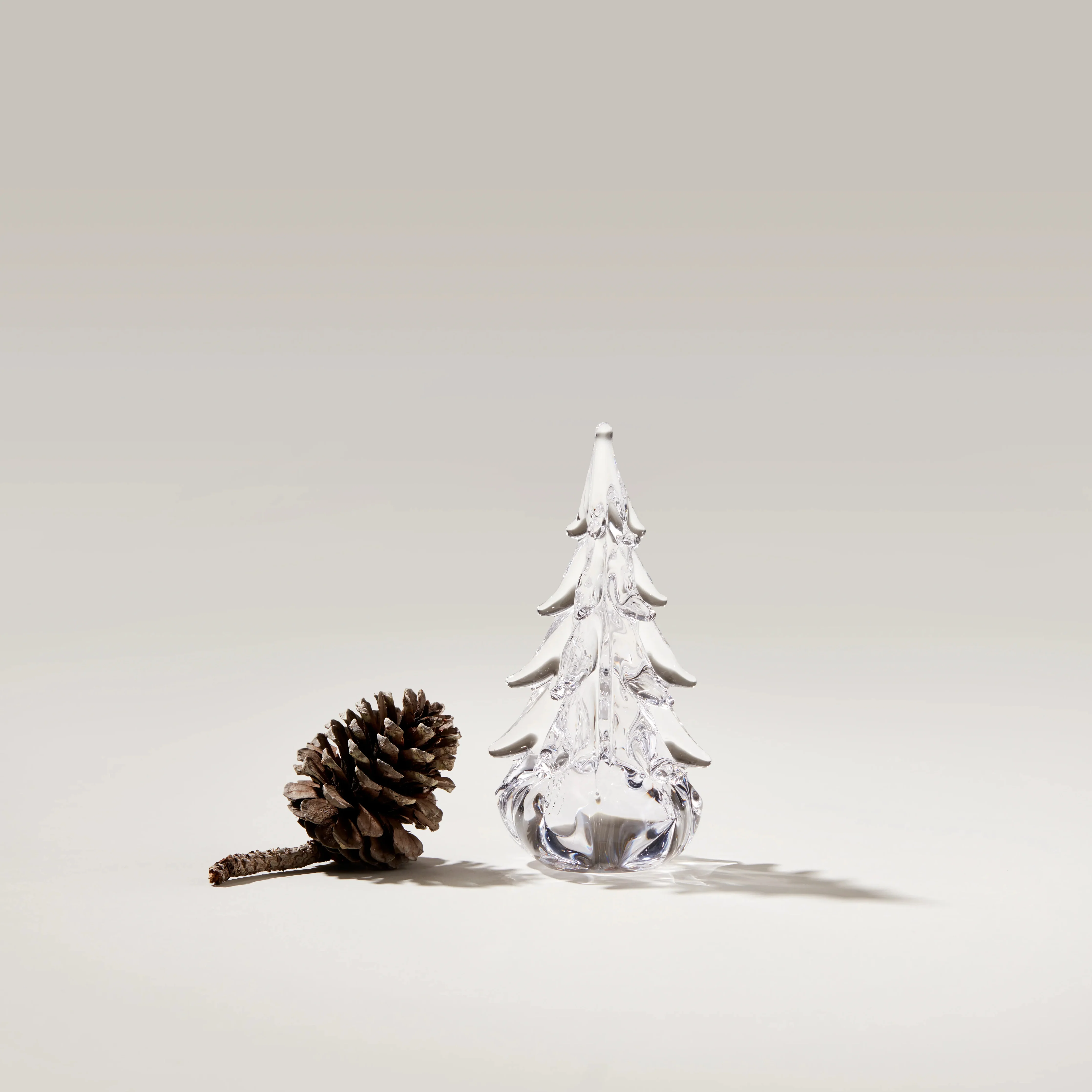 Five Sided Evergreen in Gift Box - Image 3