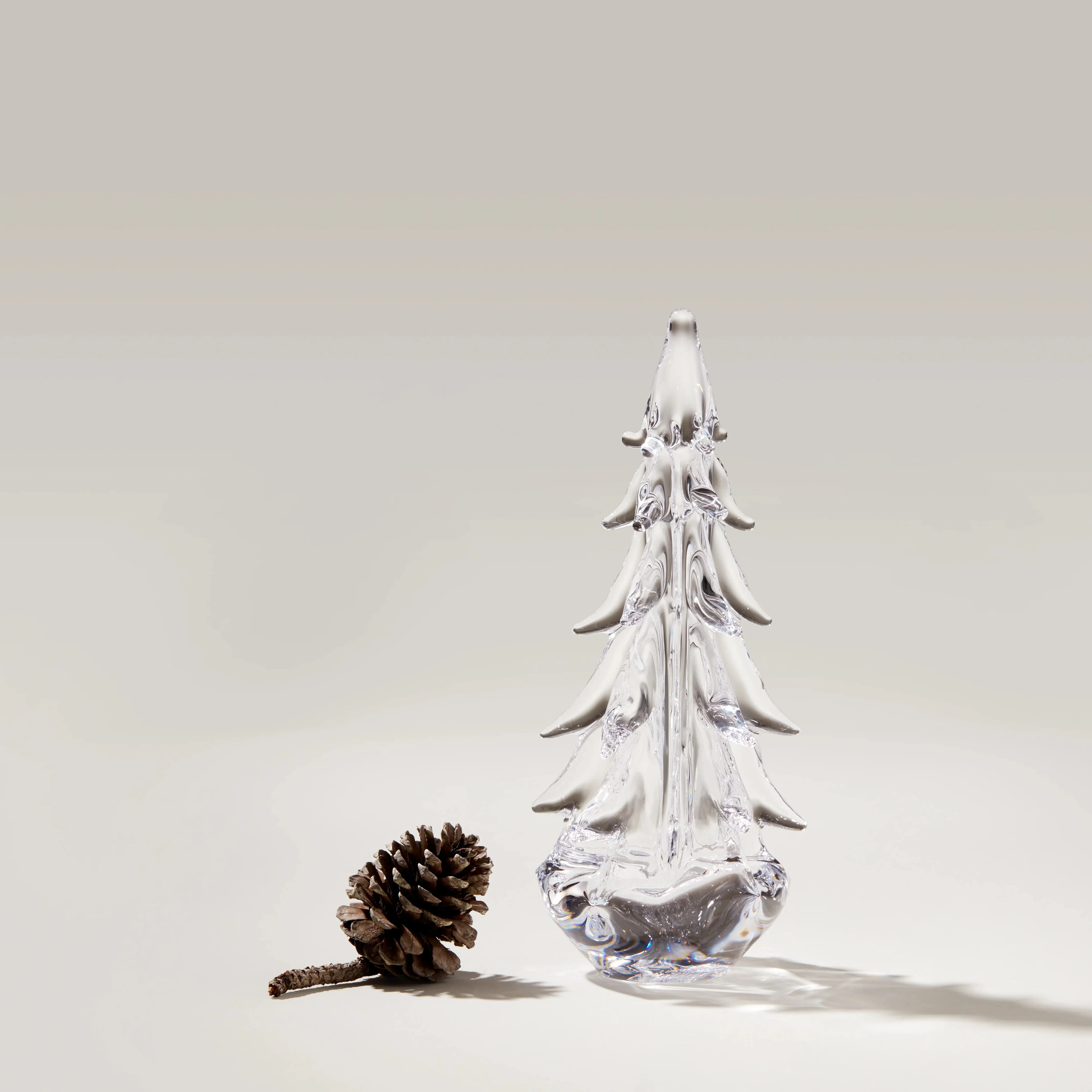 Five Sided Evergreen in Gift Box - Image 4