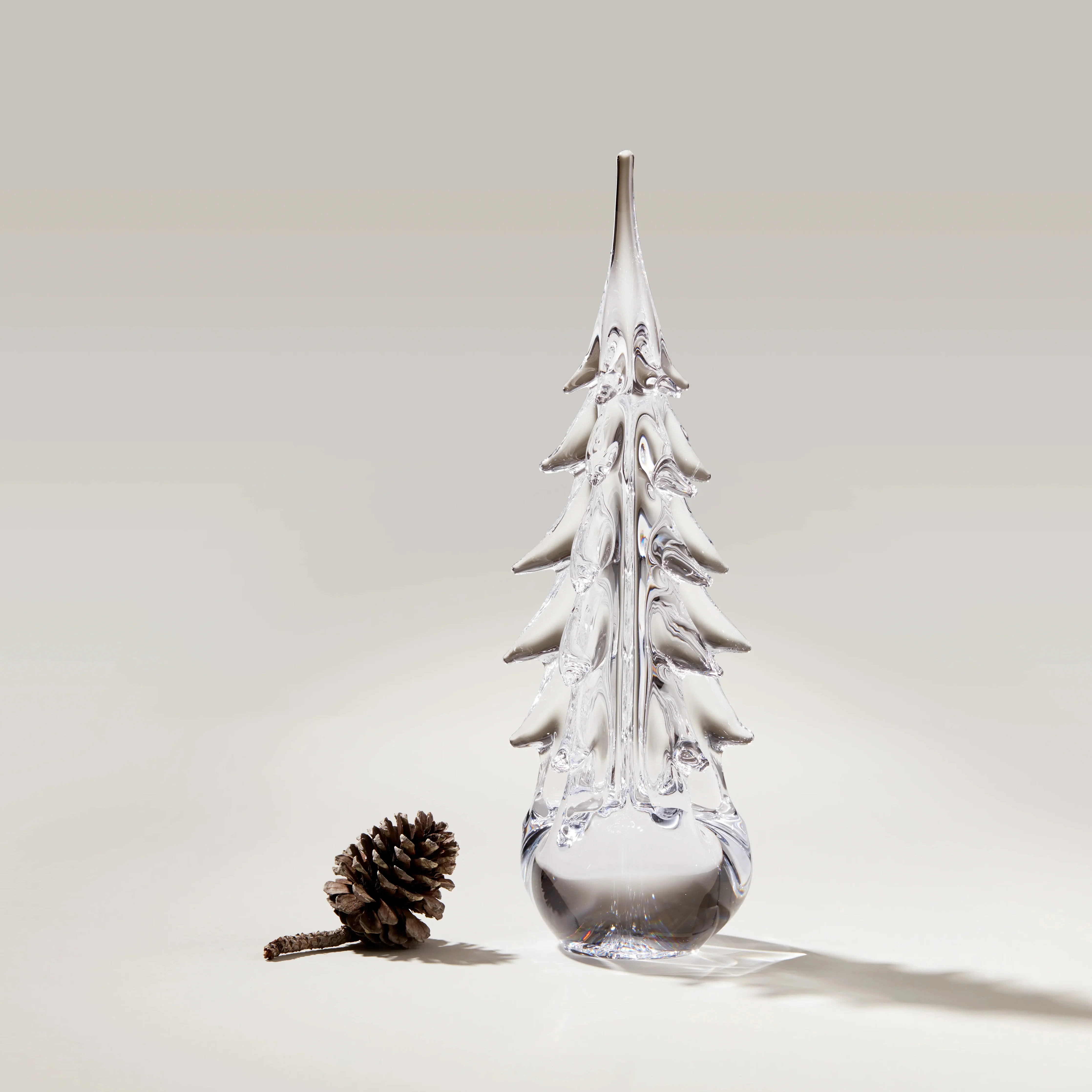 Five Sided Evergreen in Gift Box - Image 5