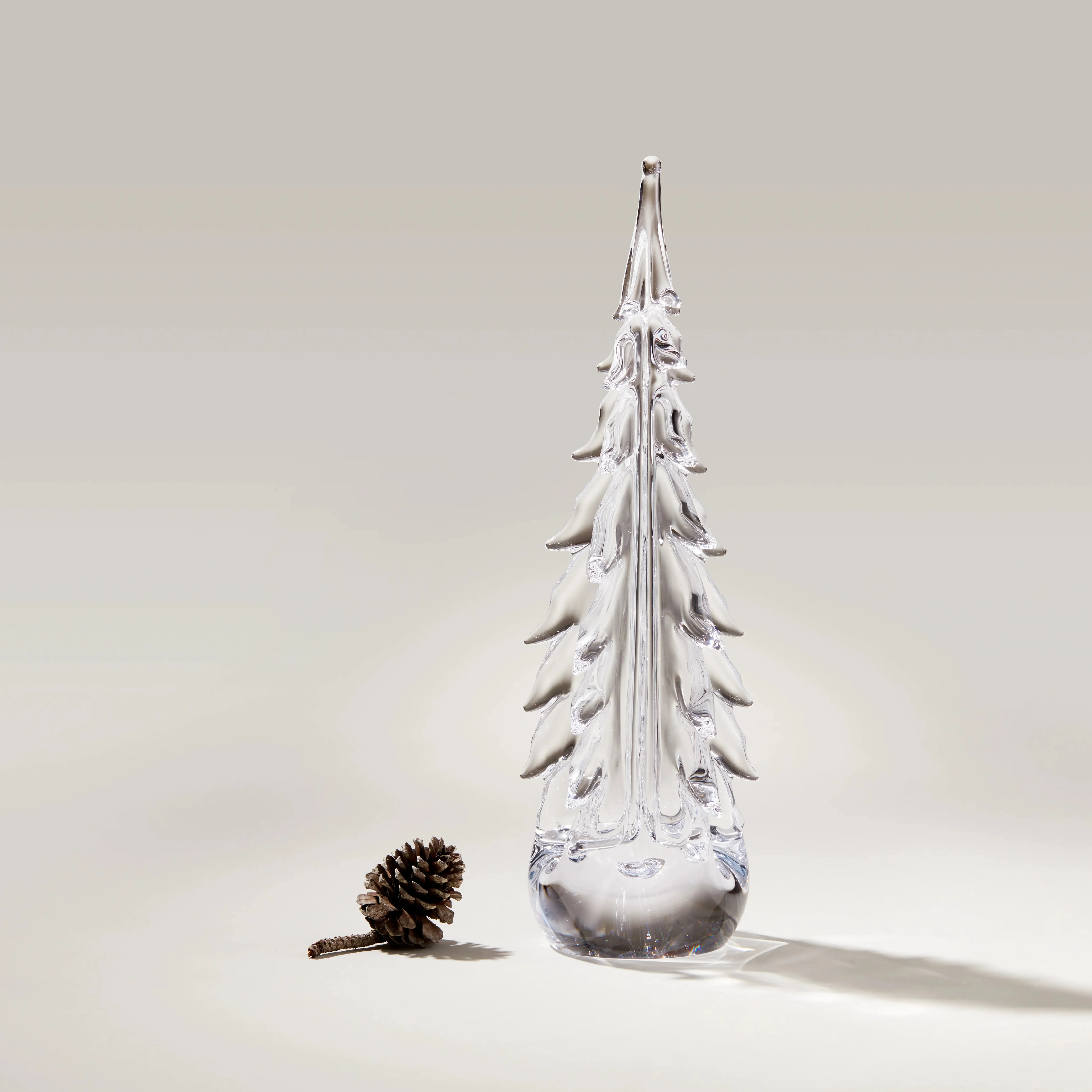 Five Sided Evergreen in Gift Box - Image 6
