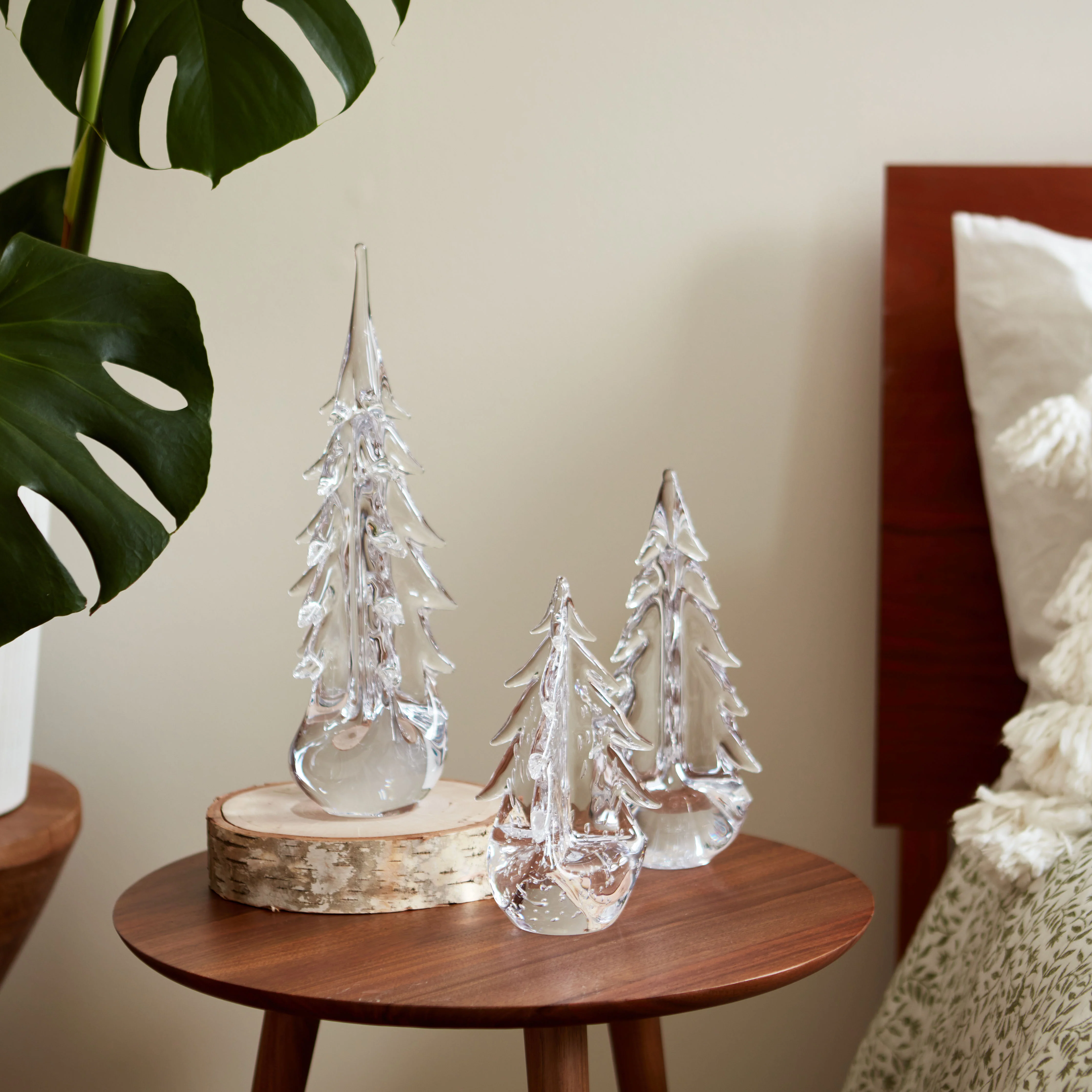 Five Sided Evergreen in Gift Box - Image 7