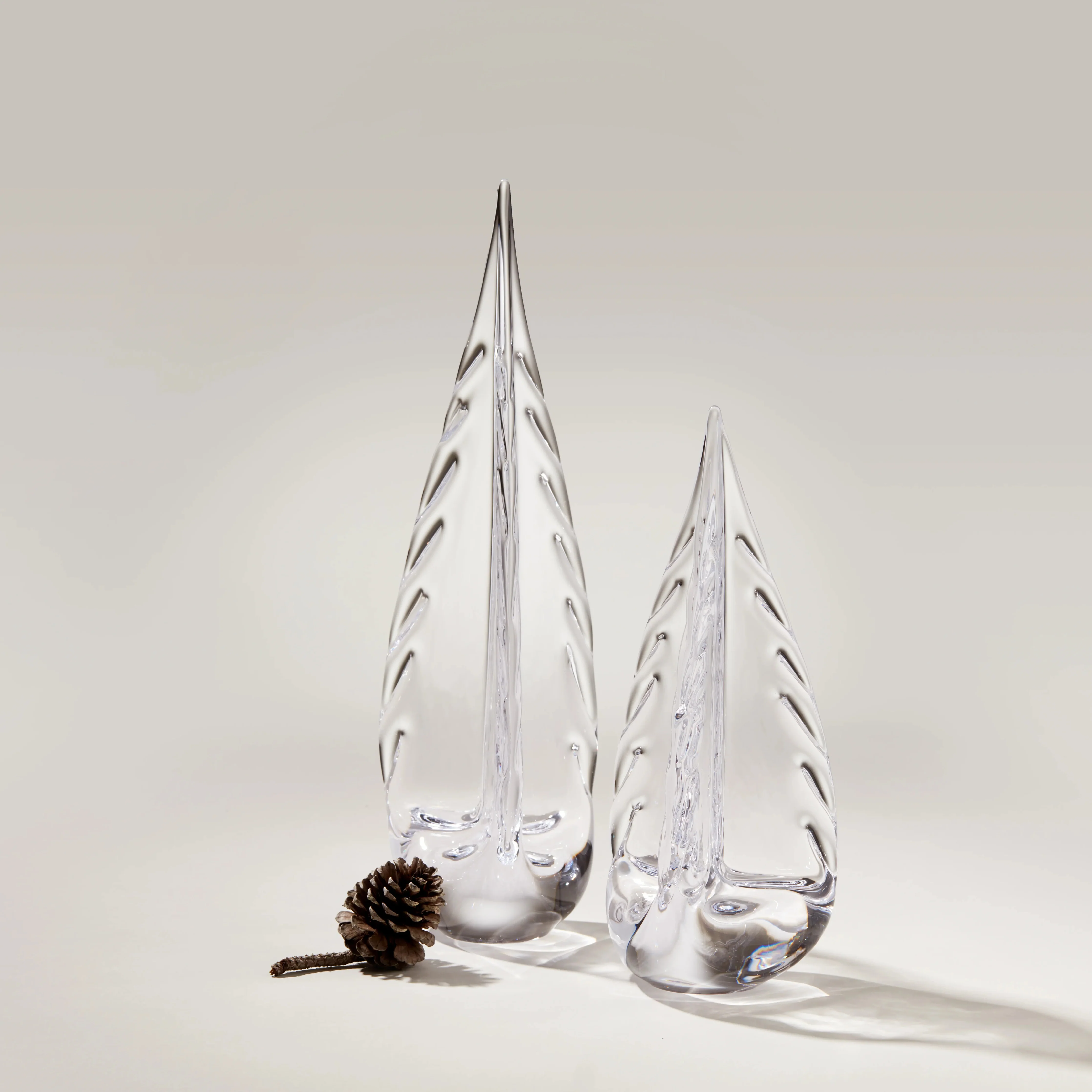 Ice Laden Evergreen - Image 2