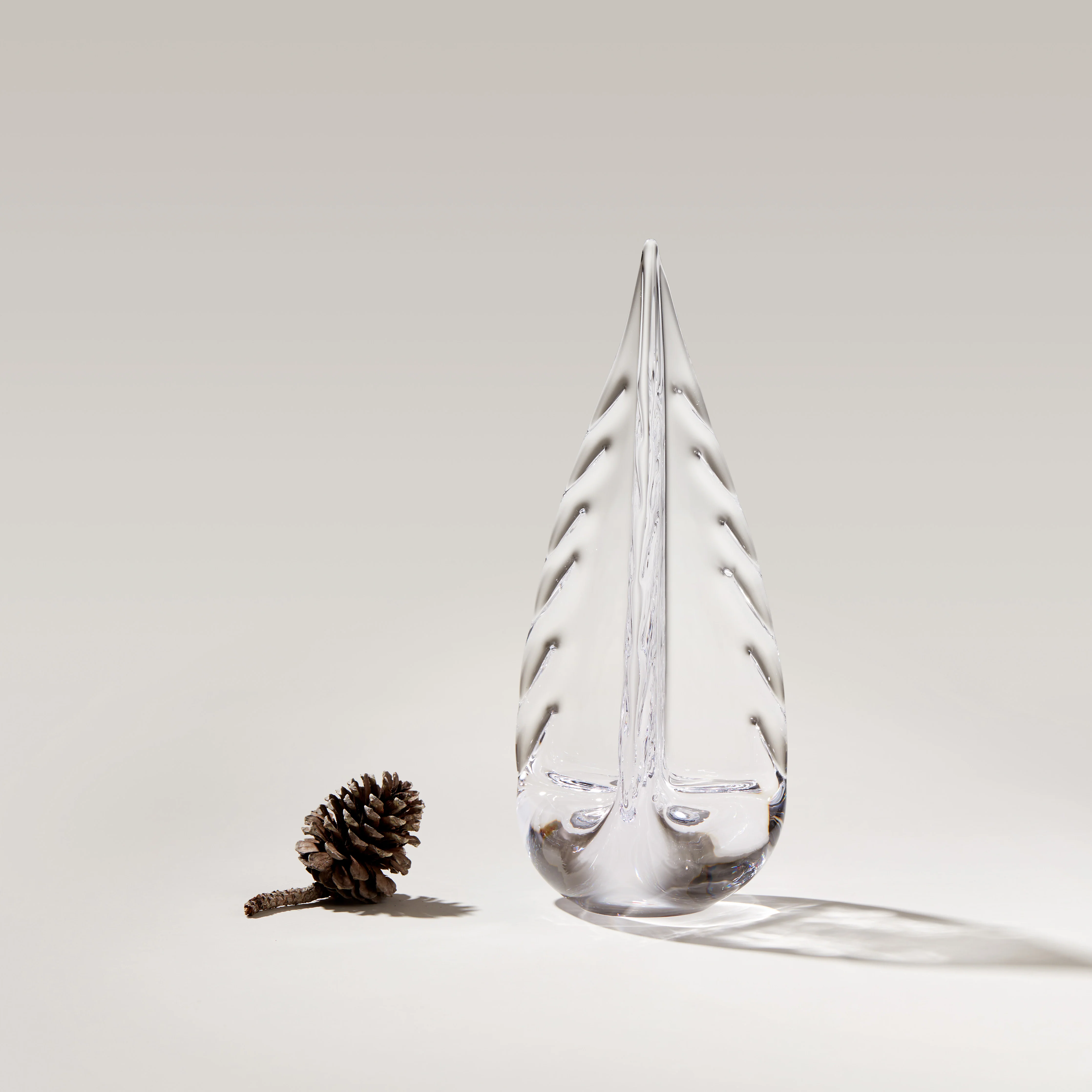 Ice Laden Evergreen - Image 3