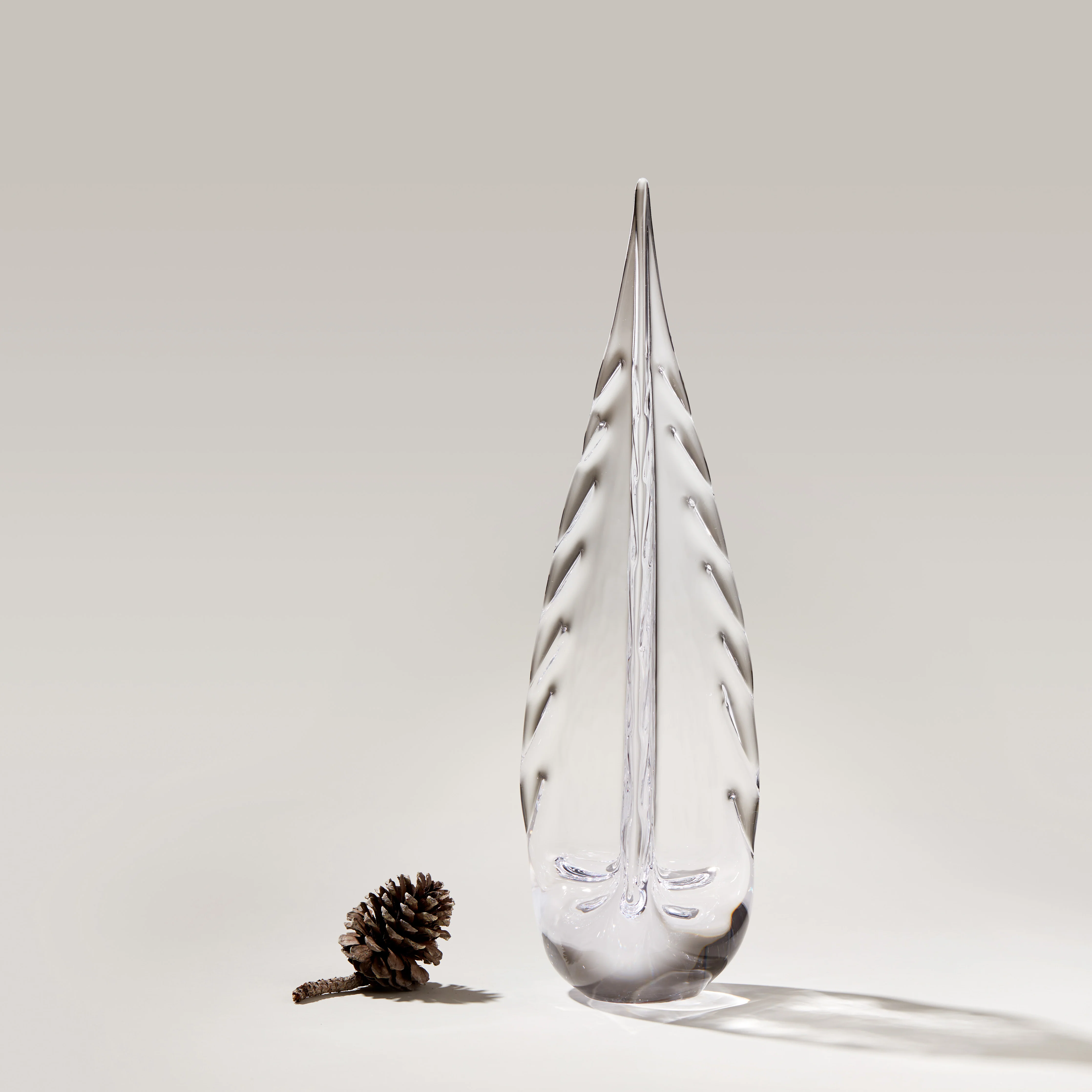 Ice Laden Evergreen - Image 4