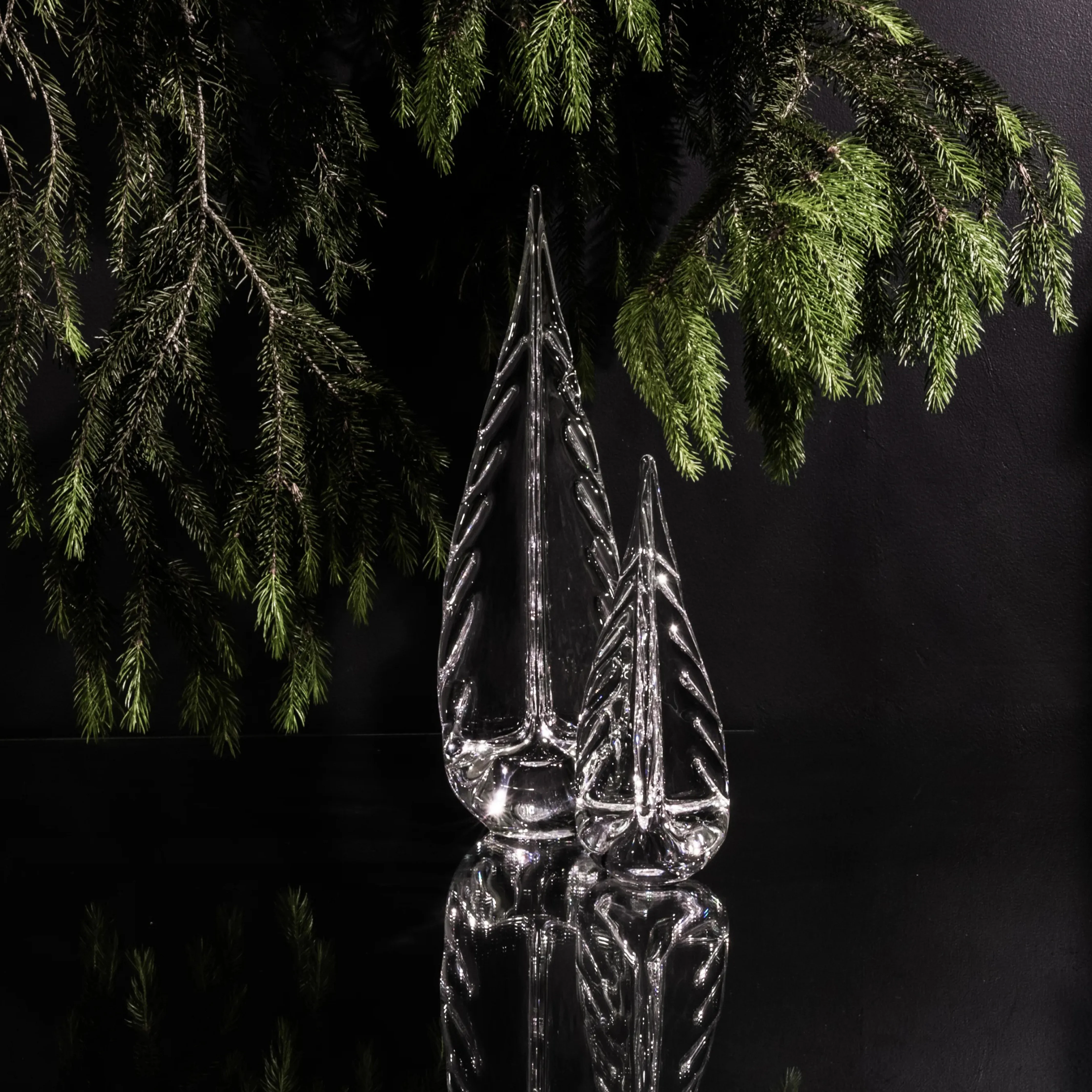 Ice Laden Evergreen - Image 5