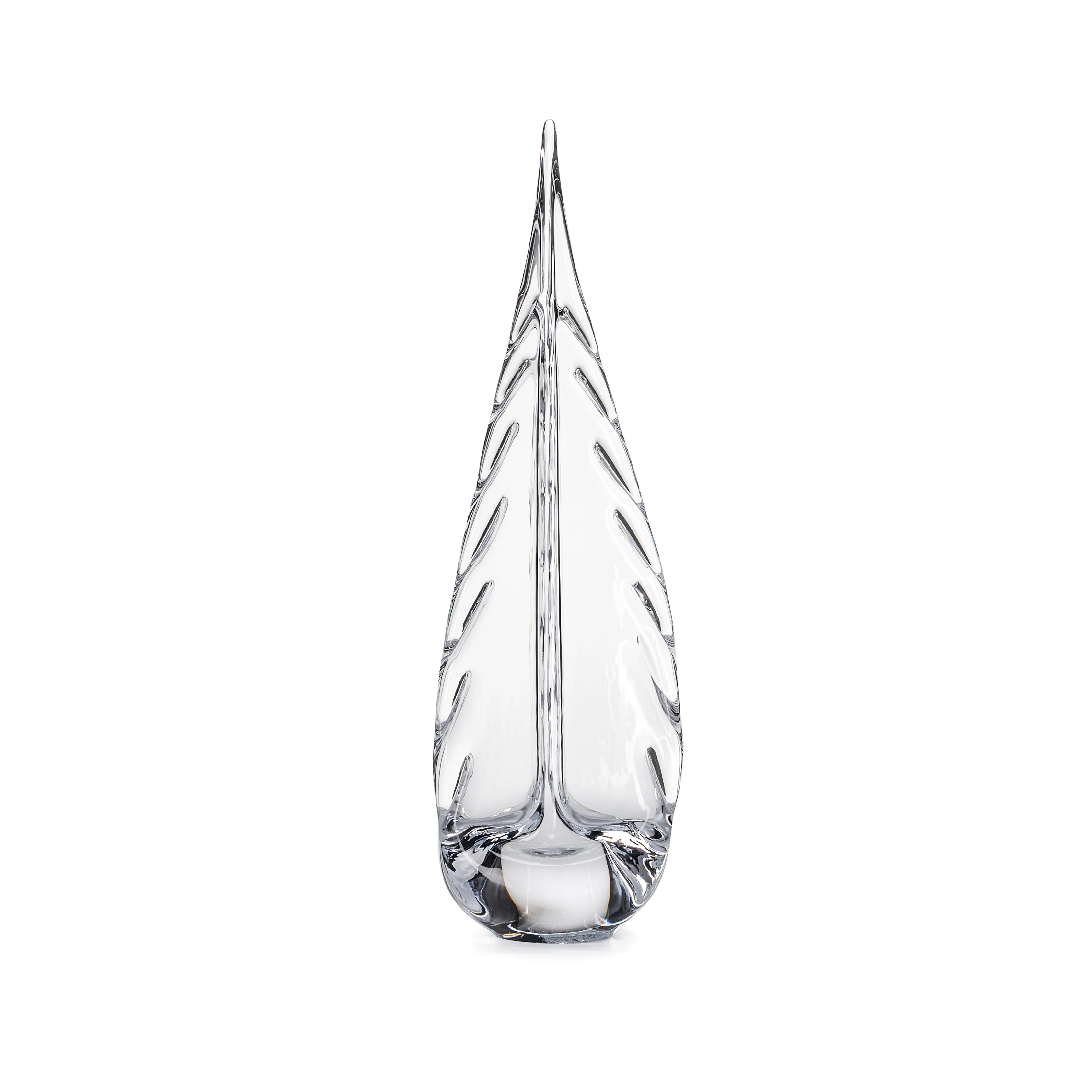 Ice Laden Evergreen - Image 9