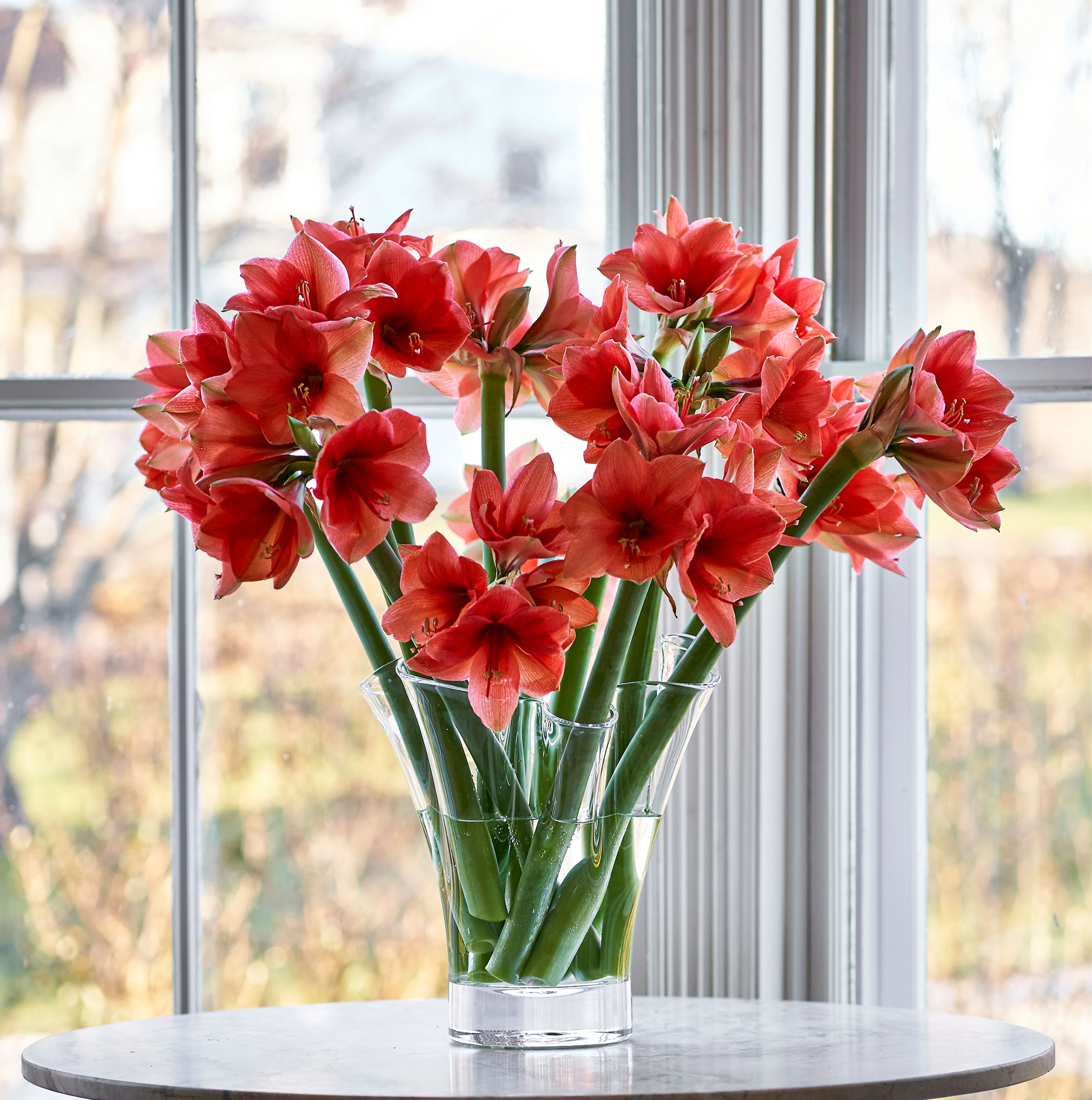PURE Anemone Vase - XL - Image 4