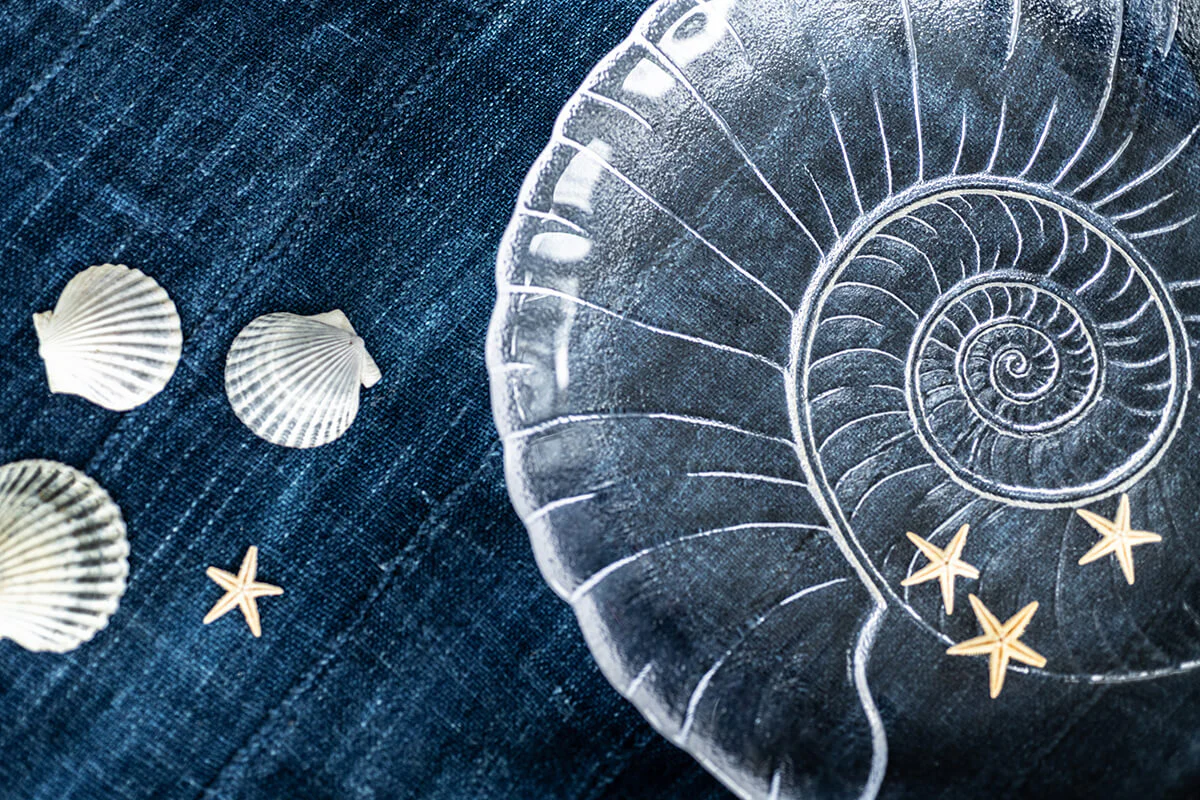 Shell Platter - Image 4