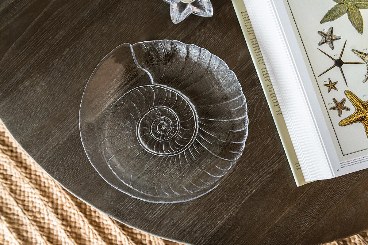 Shell Platter - Image 5