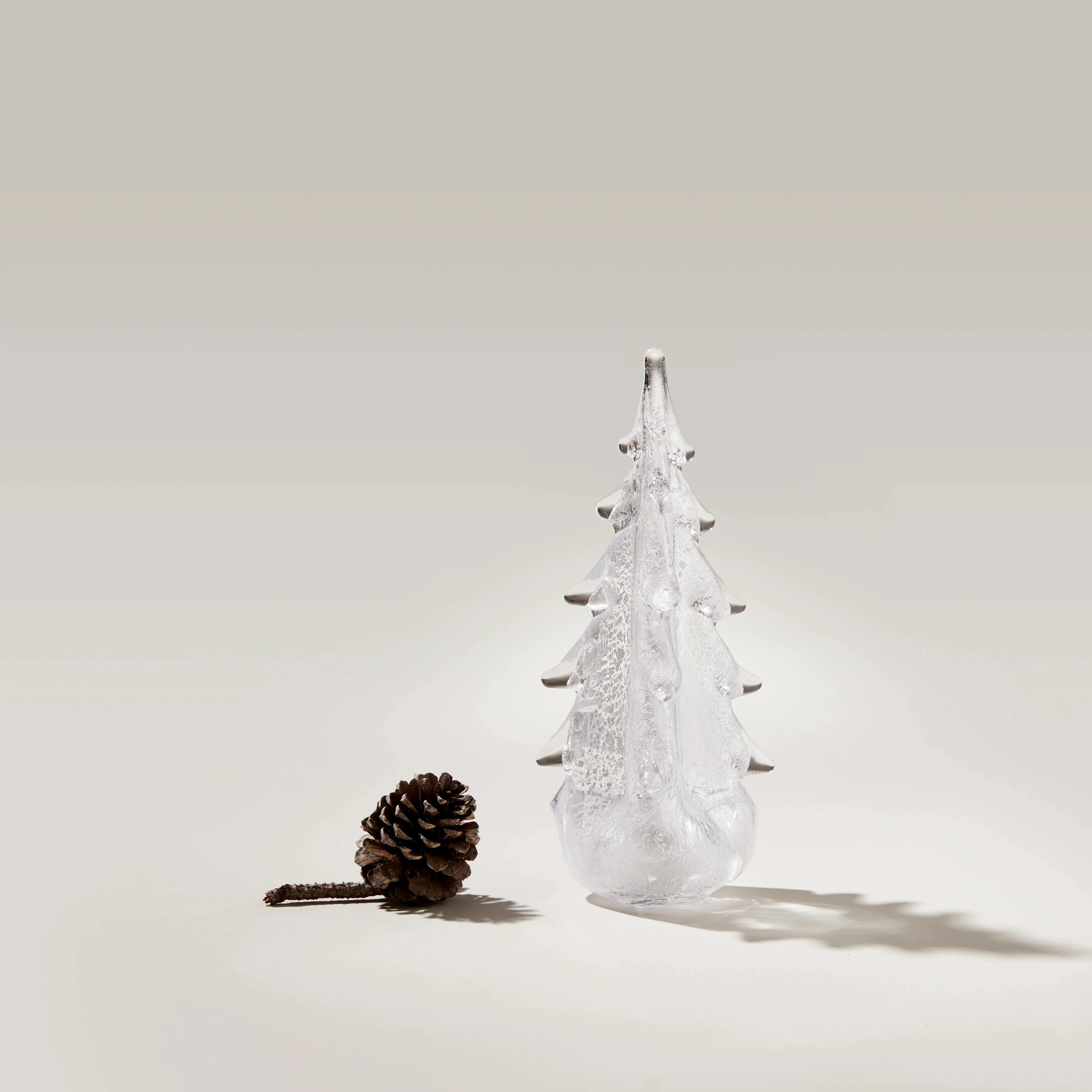 Silver Leaf Evergreen - Image 4