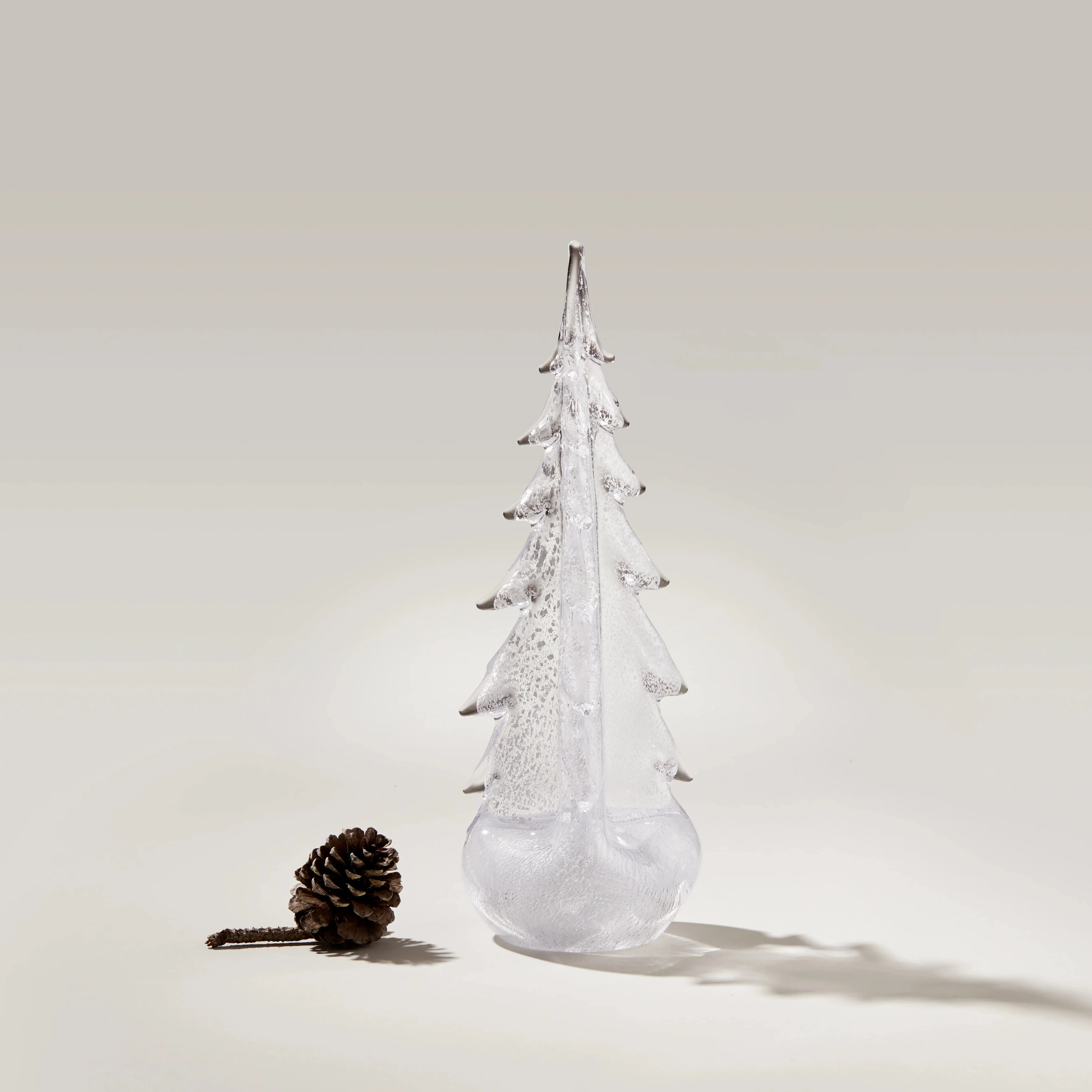 Silver Leaf Evergreen - Image 5