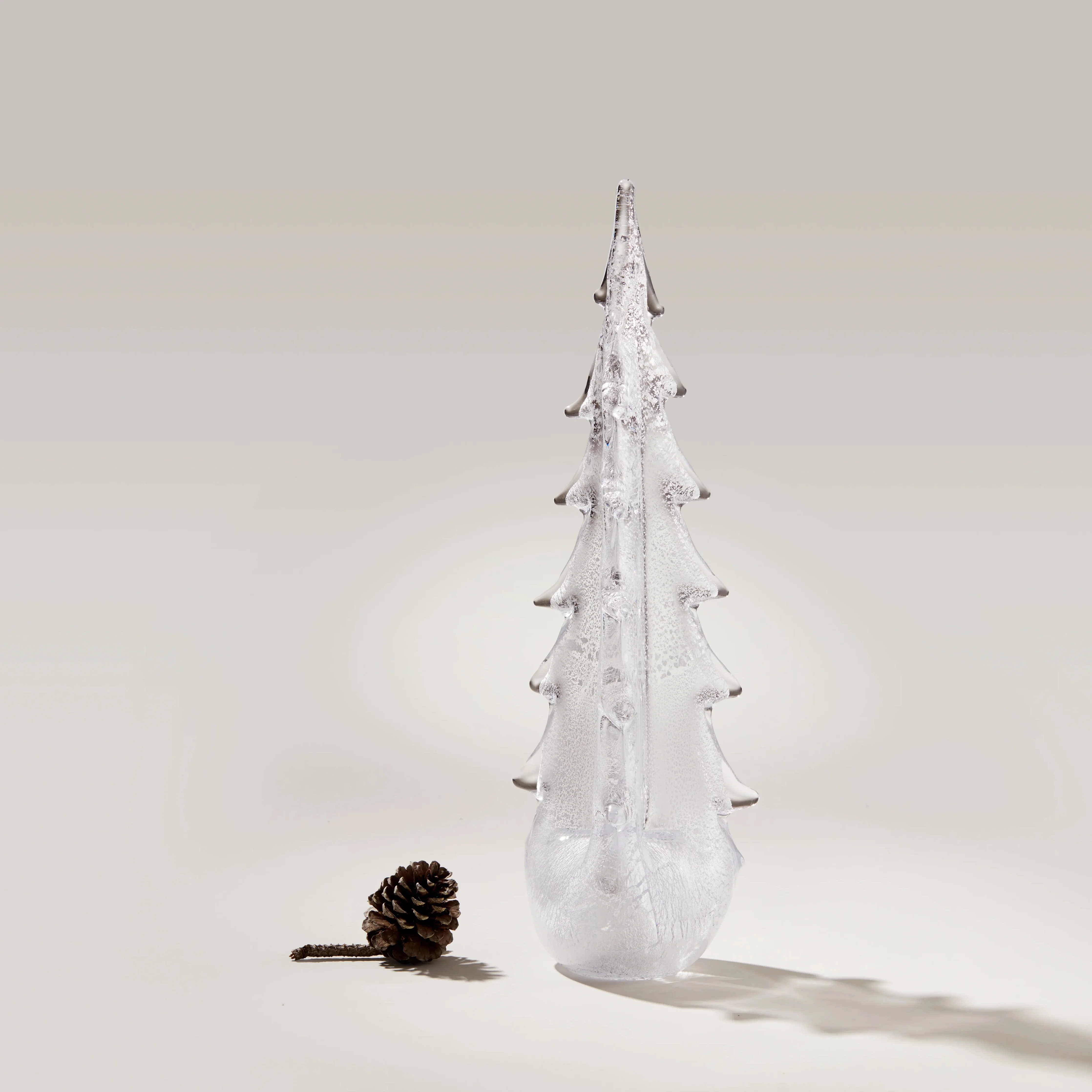 Silver Leaf Evergreen - Image 6