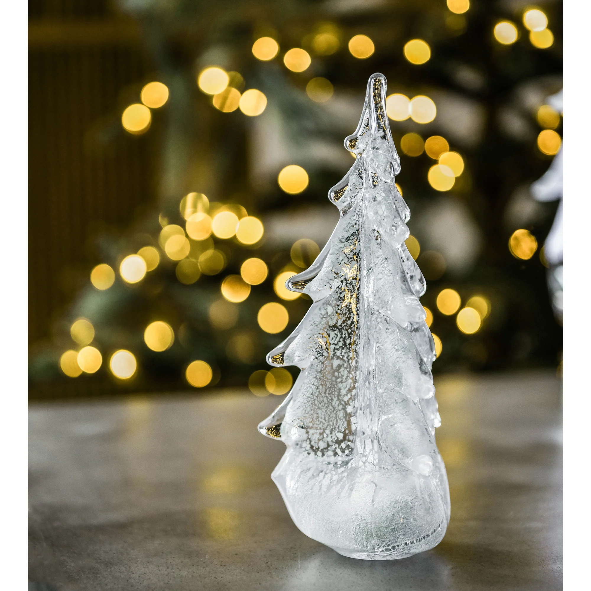 Silver Leaf Evergreen - Image 8