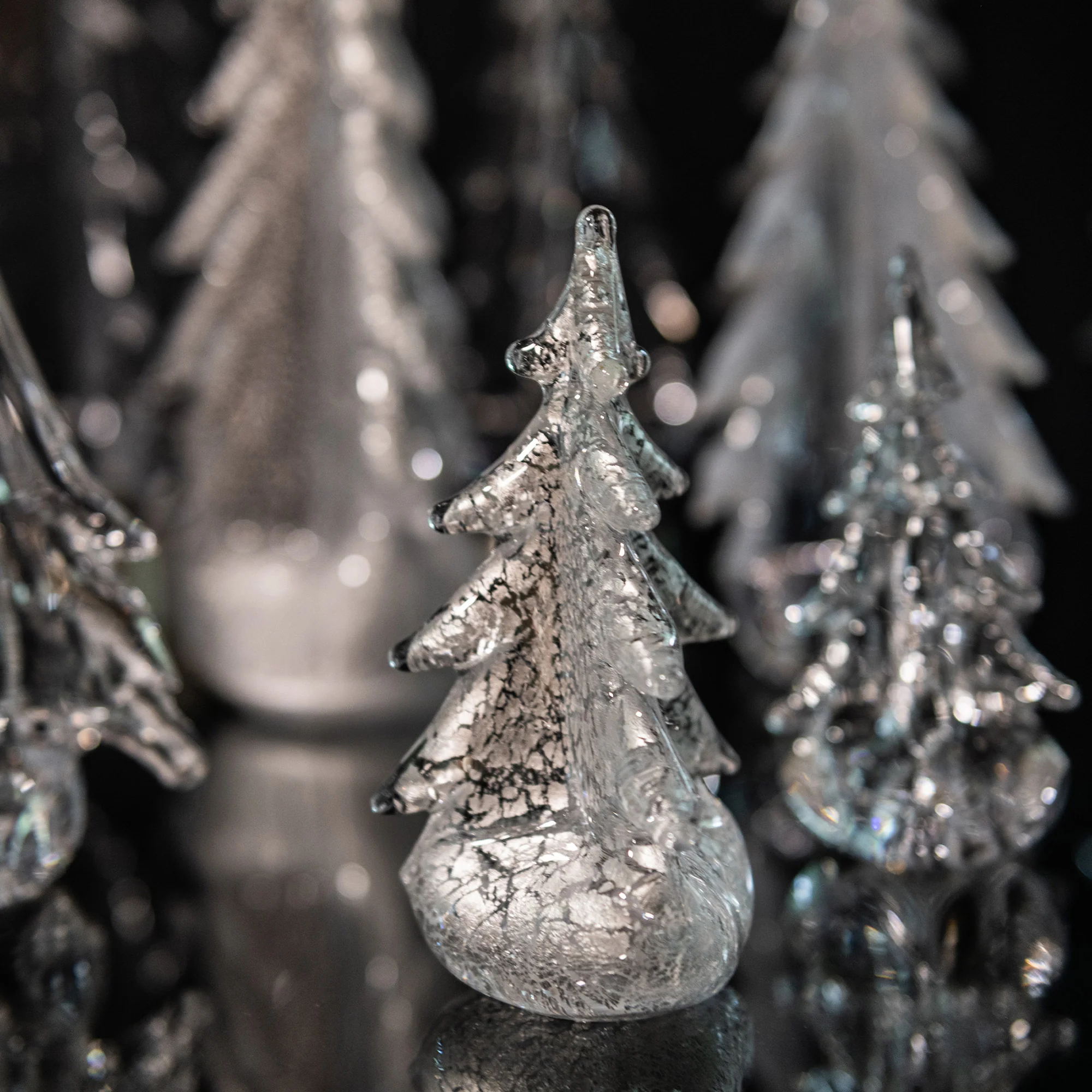 Silver Leaf Evergreen - Image 9