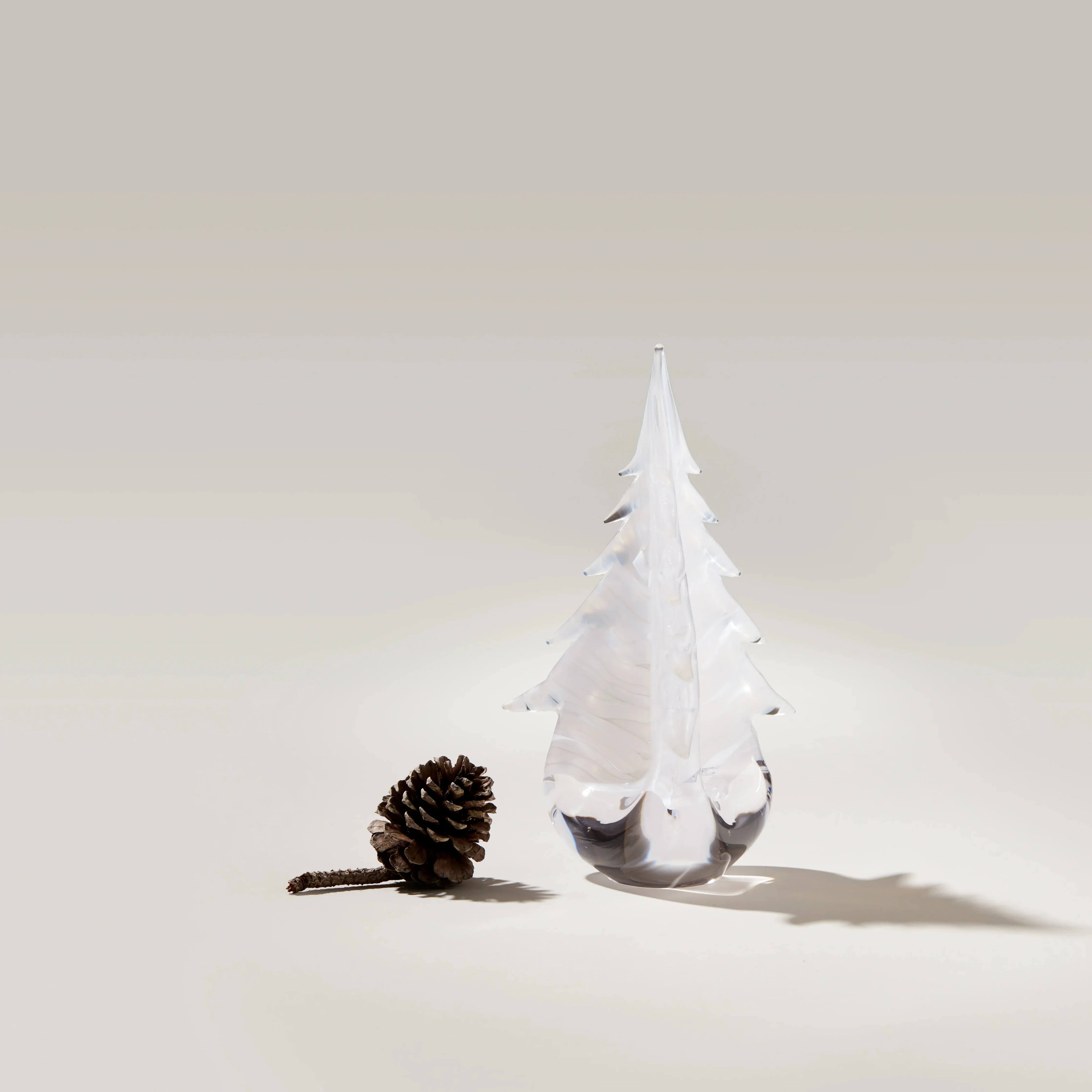 Snowdrift Evergreen in Gift Box - Image 3