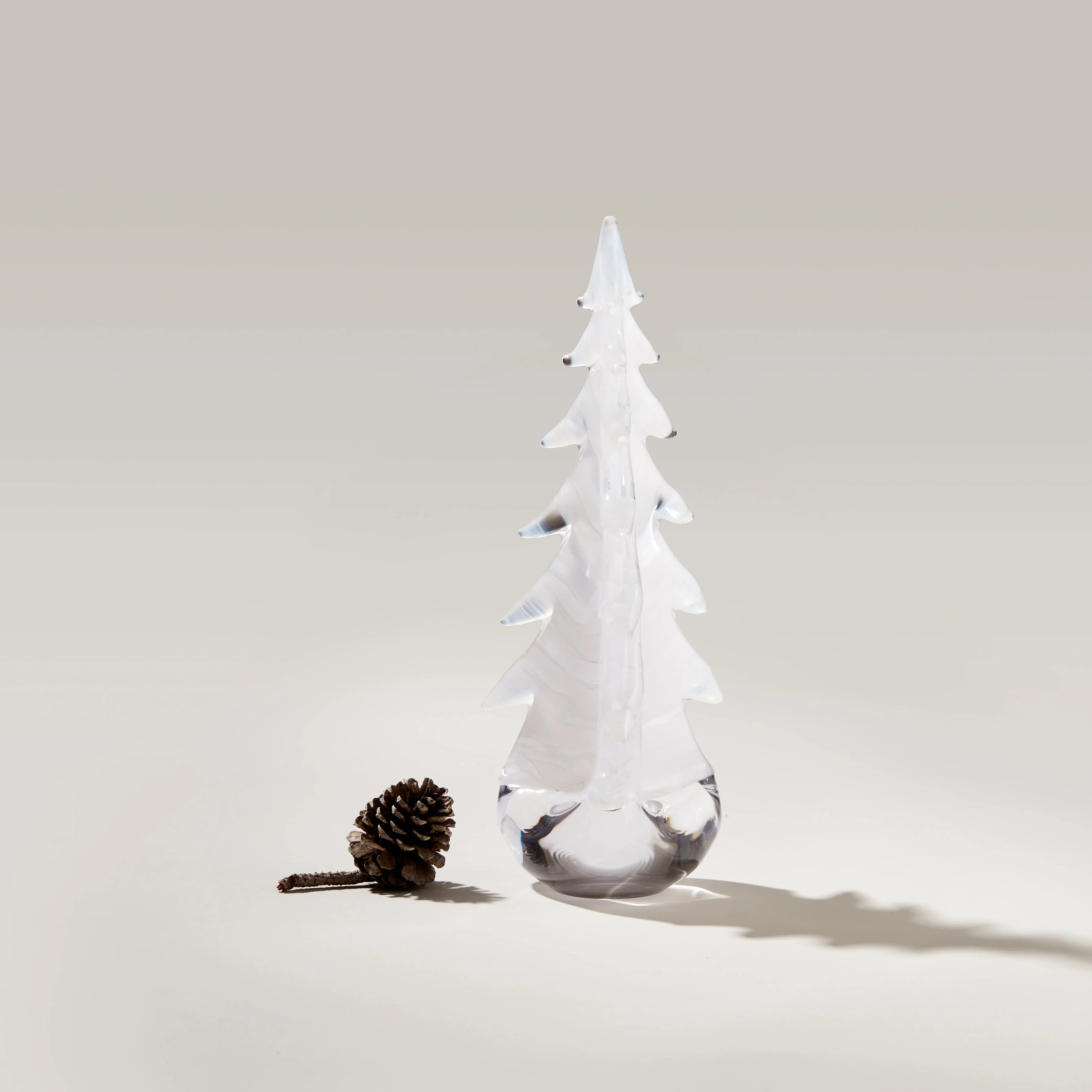 Snowdrift Evergreen in Gift Box - Image 4
