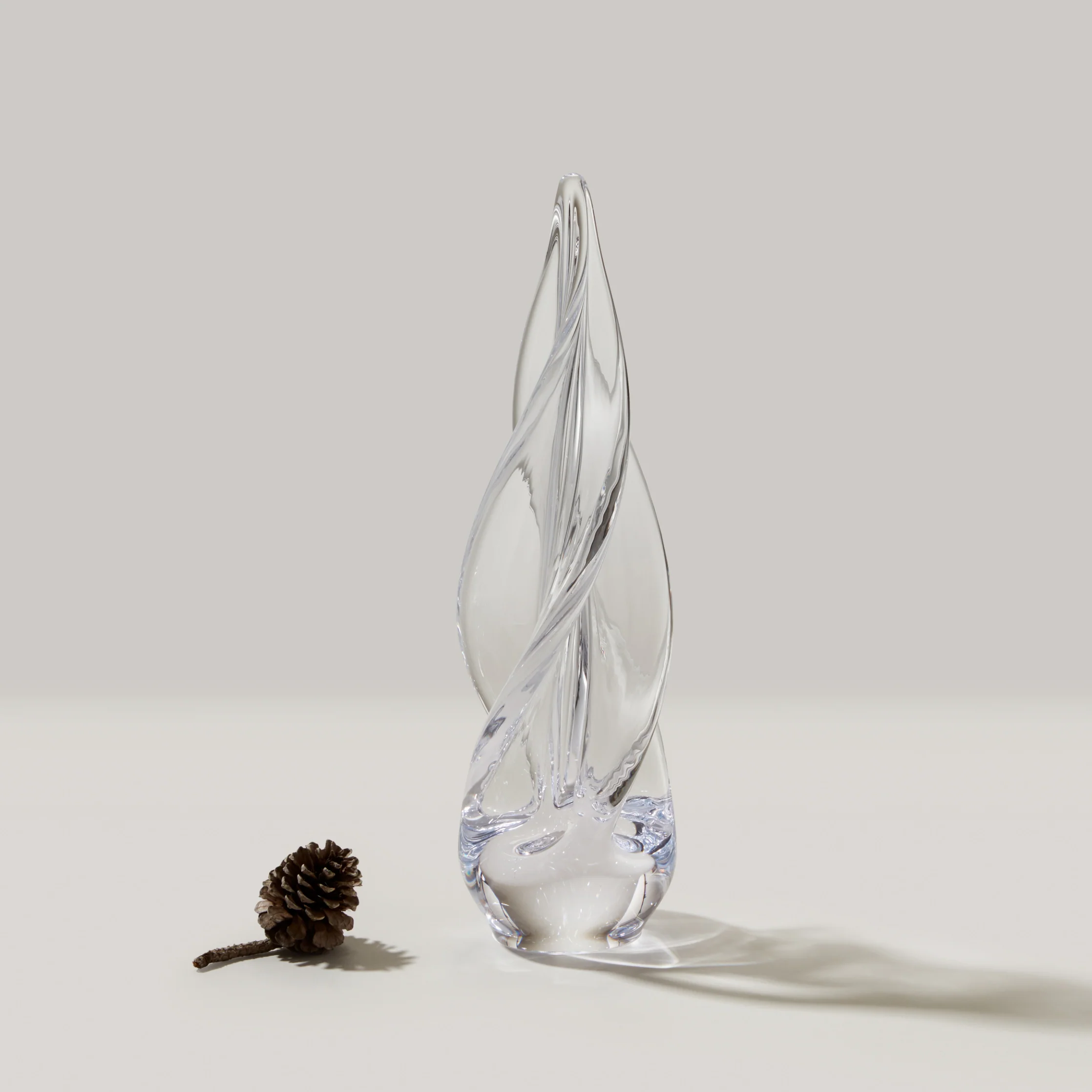 Spiral Four-Sided Evergreen in Gift Box - Image 3
