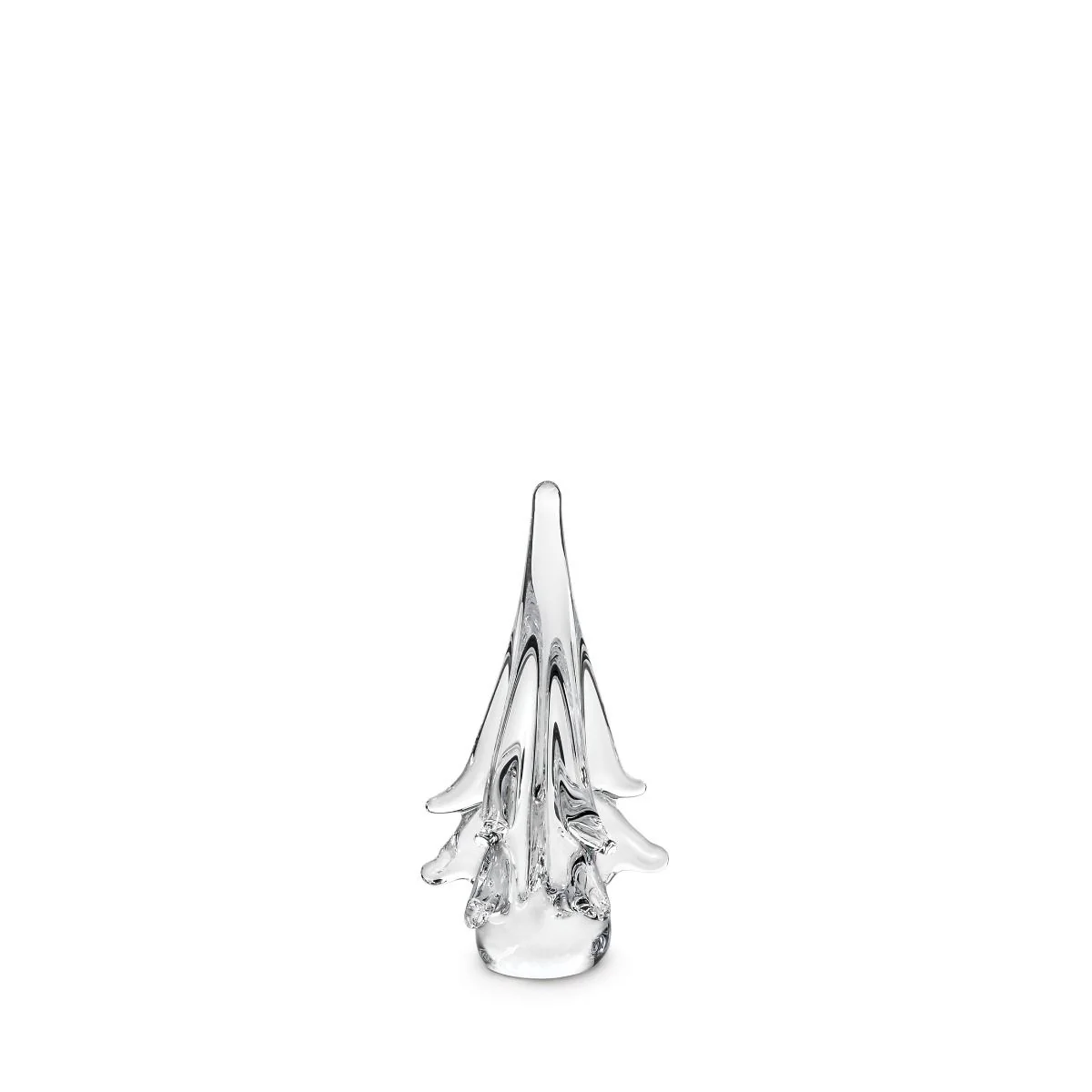 Spruce Evergreen - Image 10