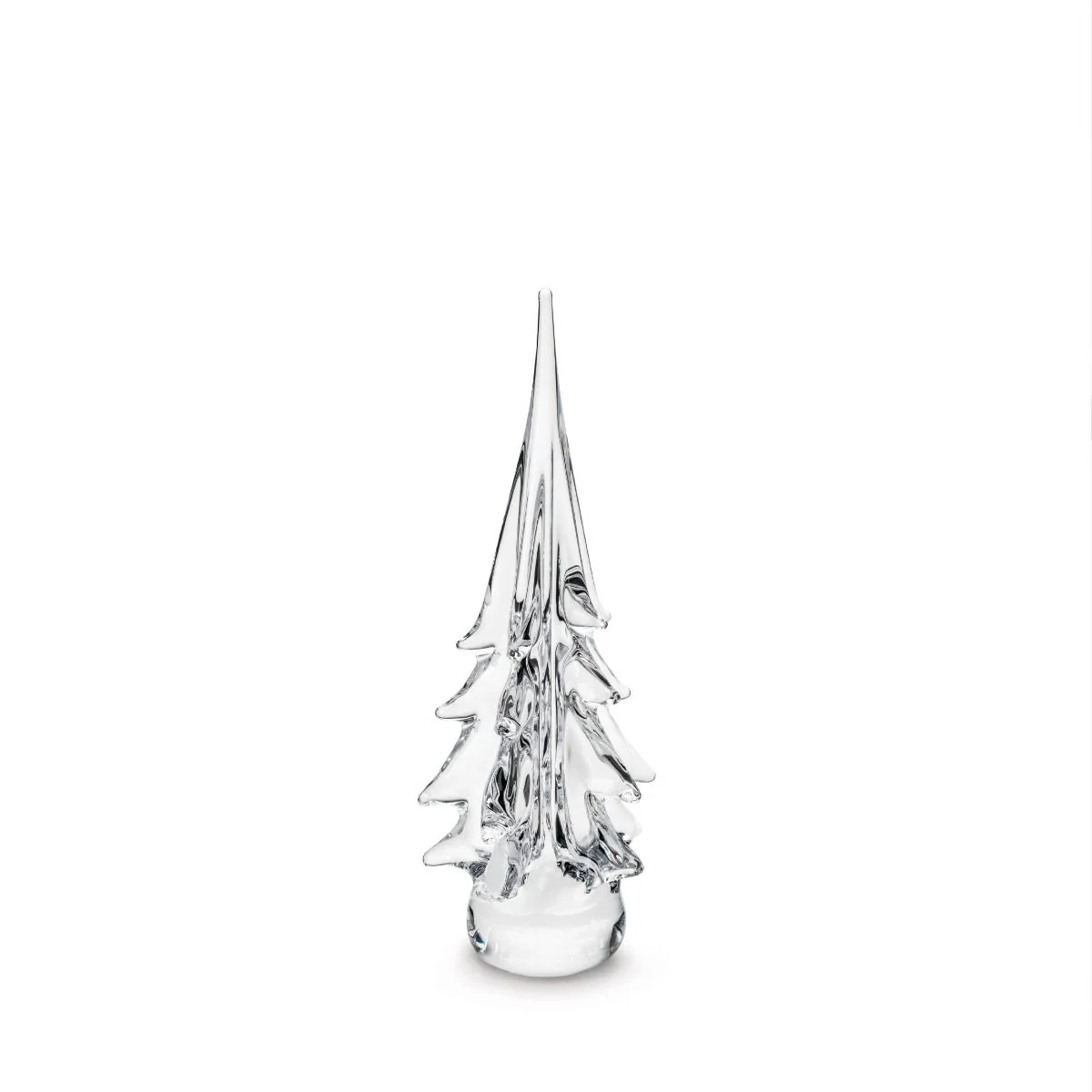 Spruce Evergreen - Image 11