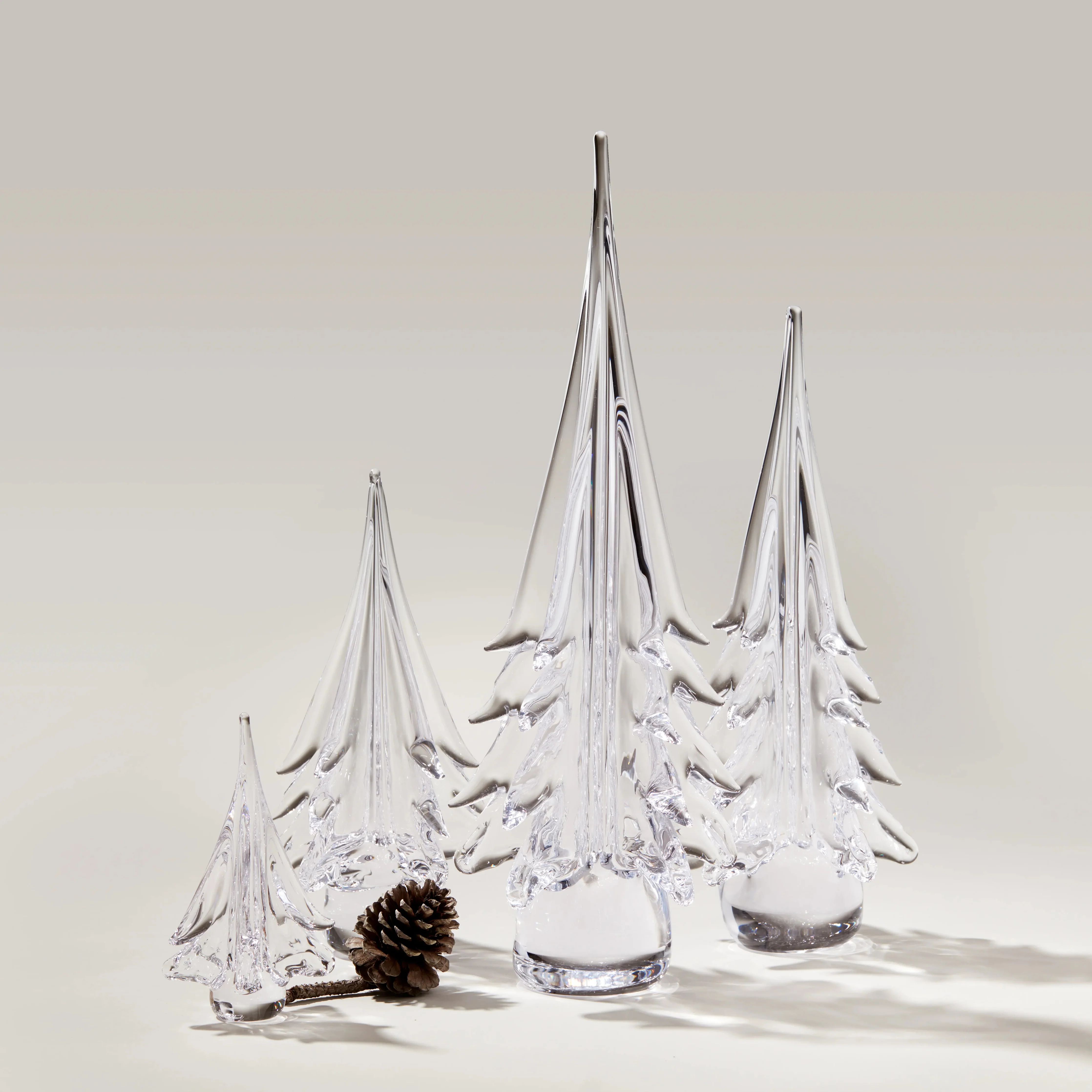 Spruce Evergreen - Image 2