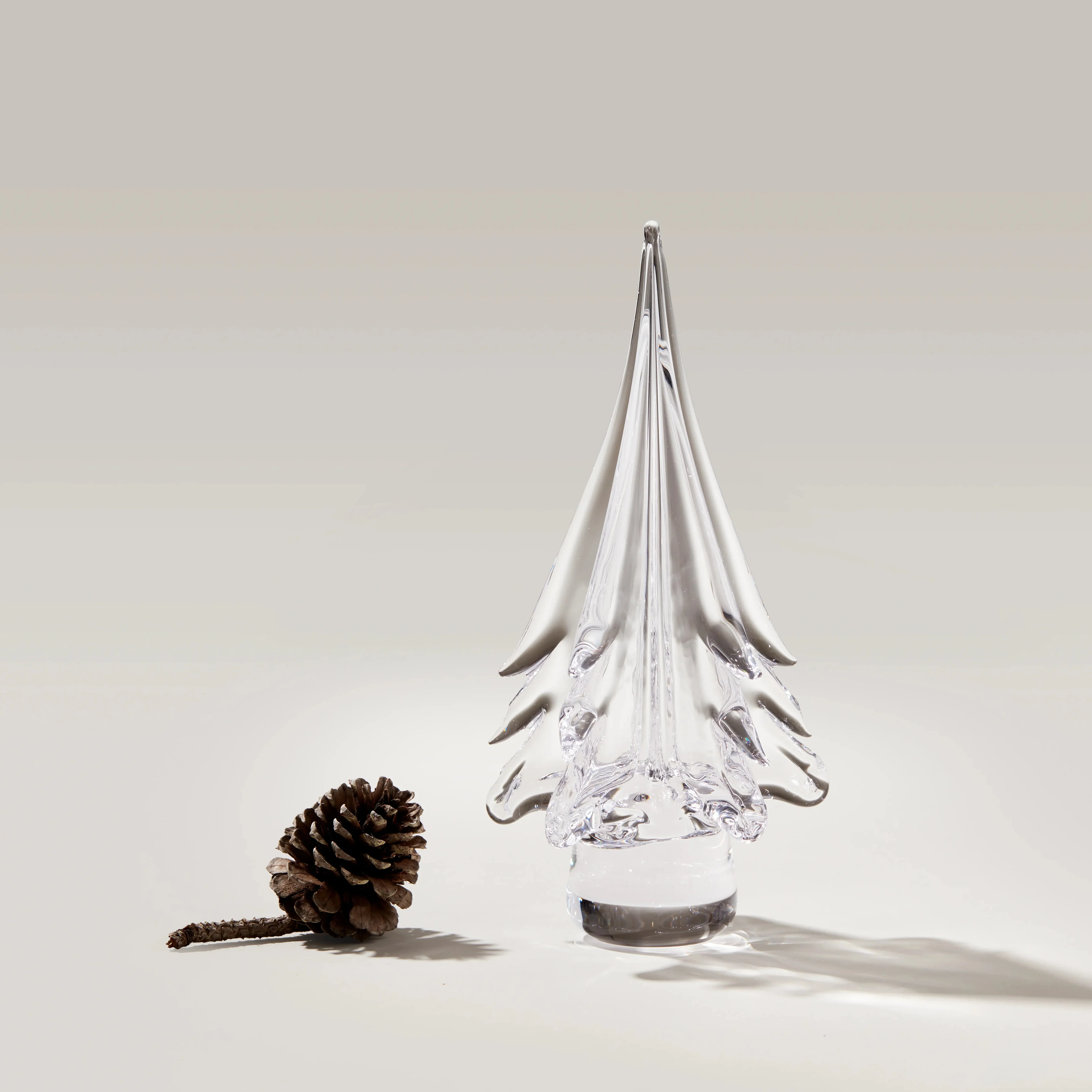 Spruce Evergreen - Image 4
