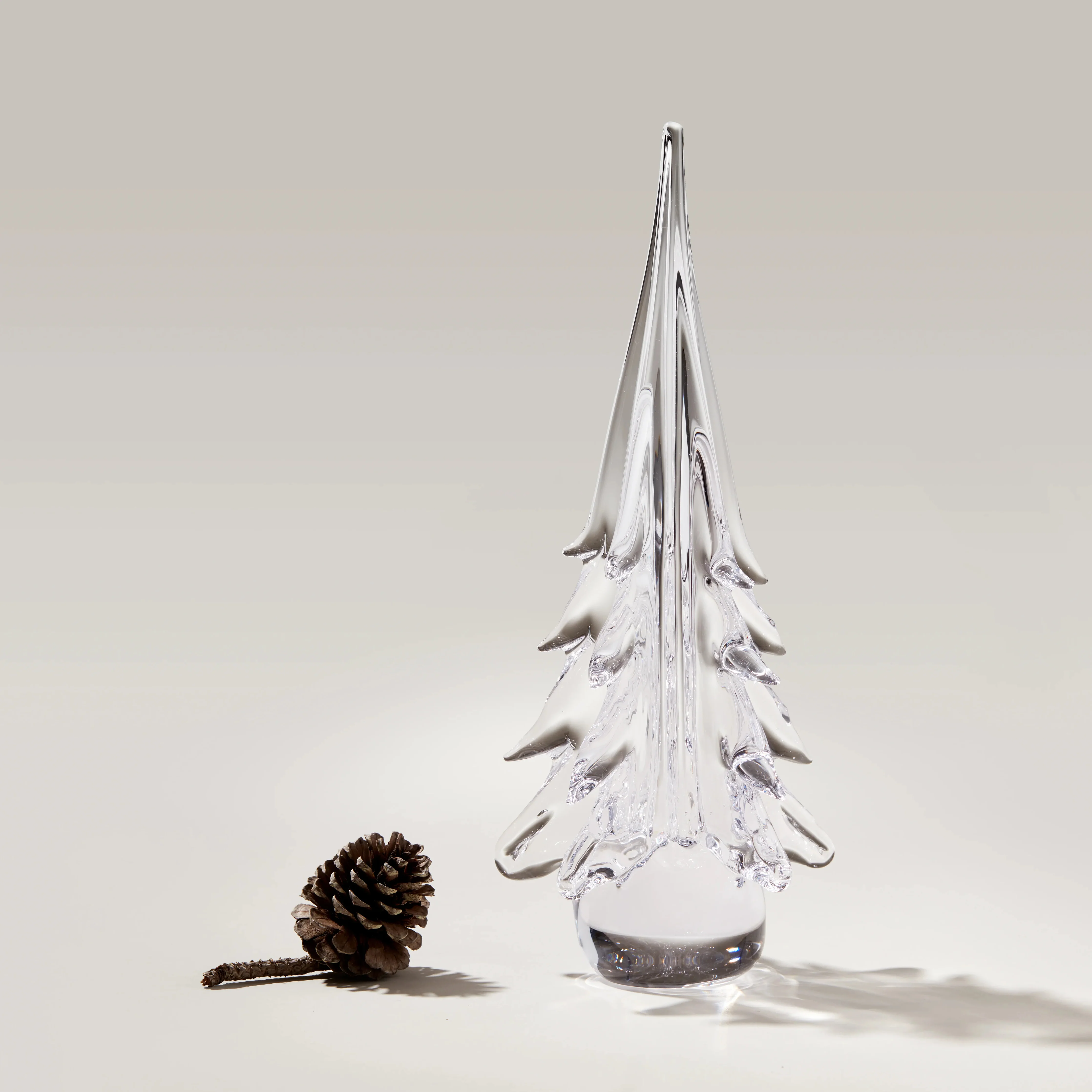 Spruce Evergreen - Image 5