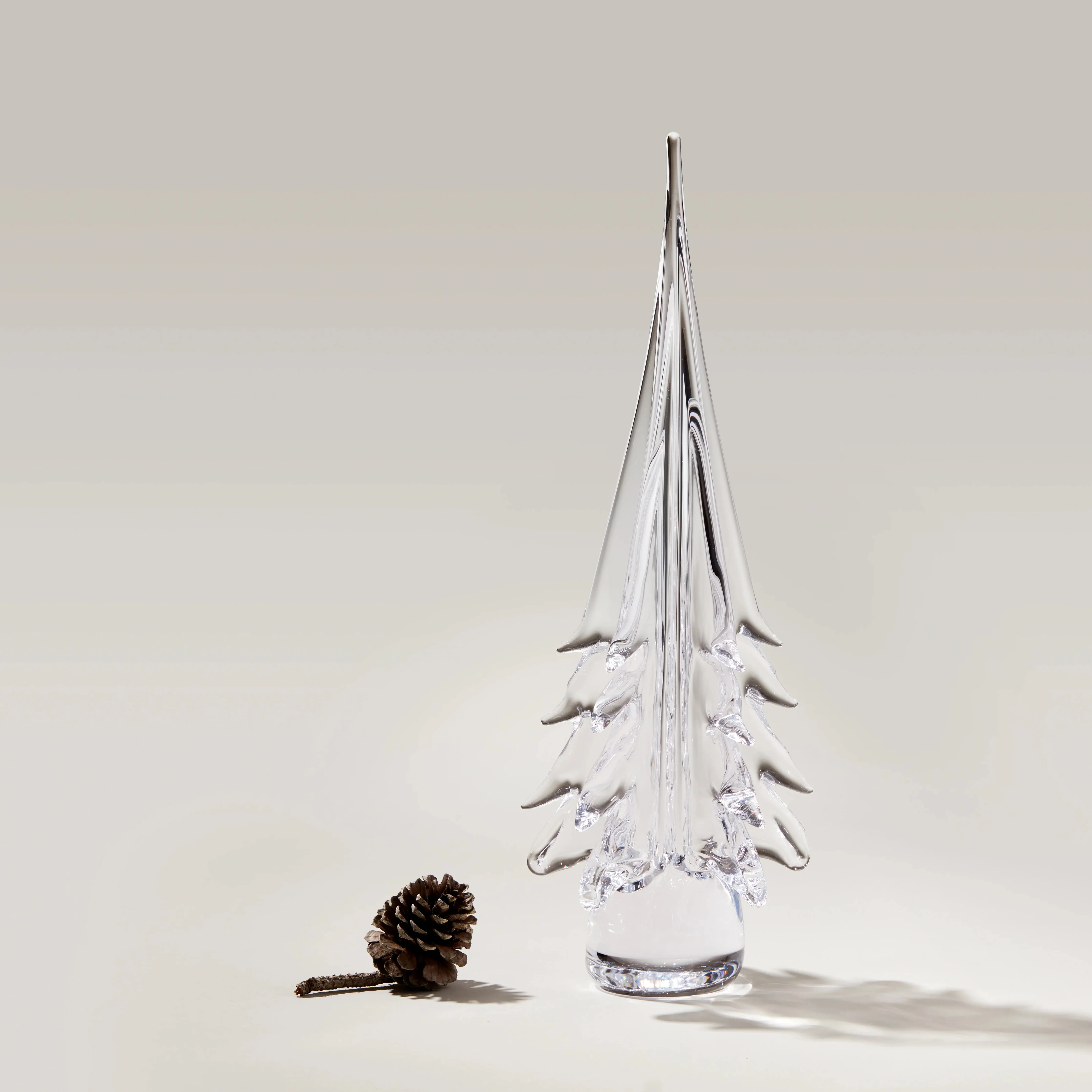Spruce Evergreen - Image 6