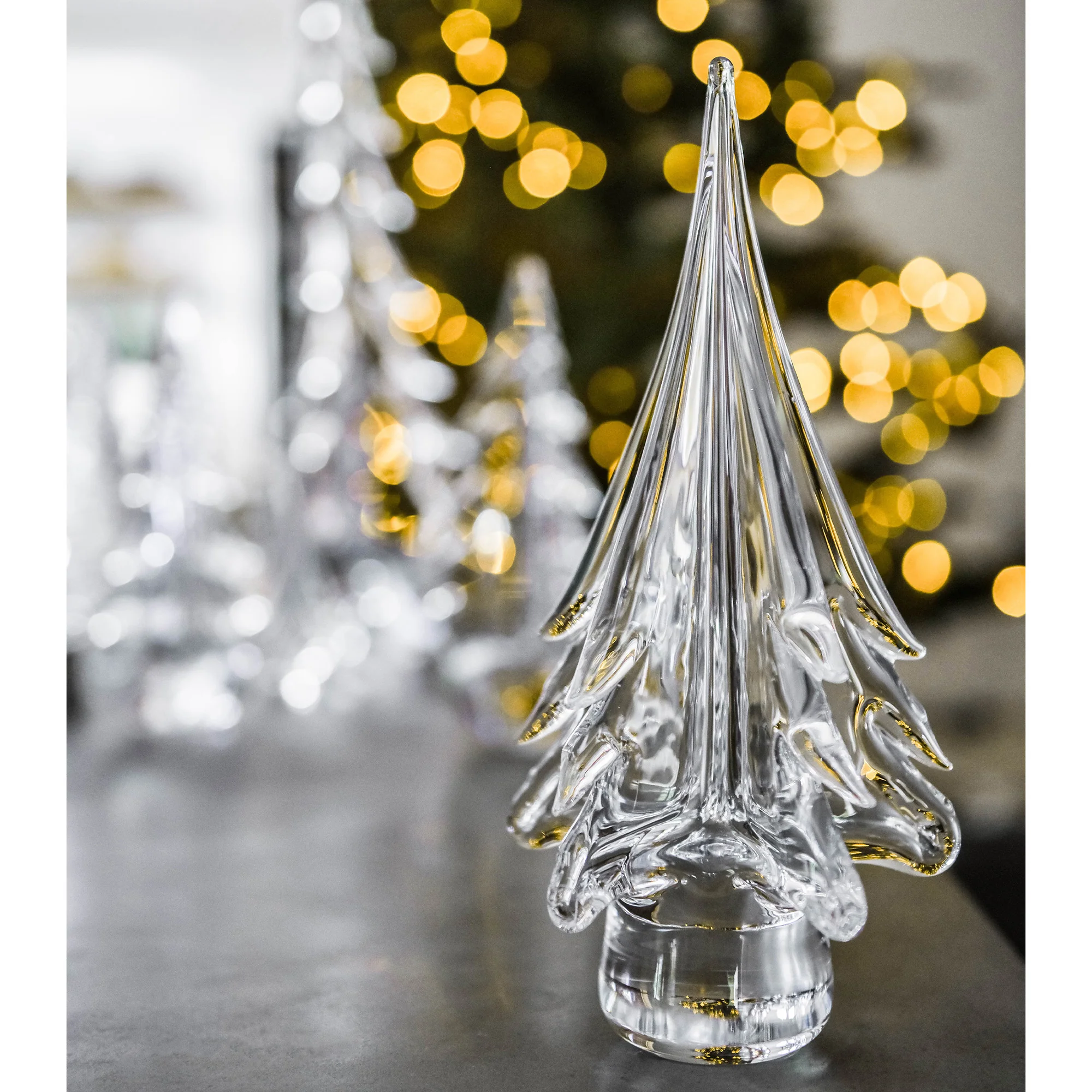 Spruce Evergreen - Image 9