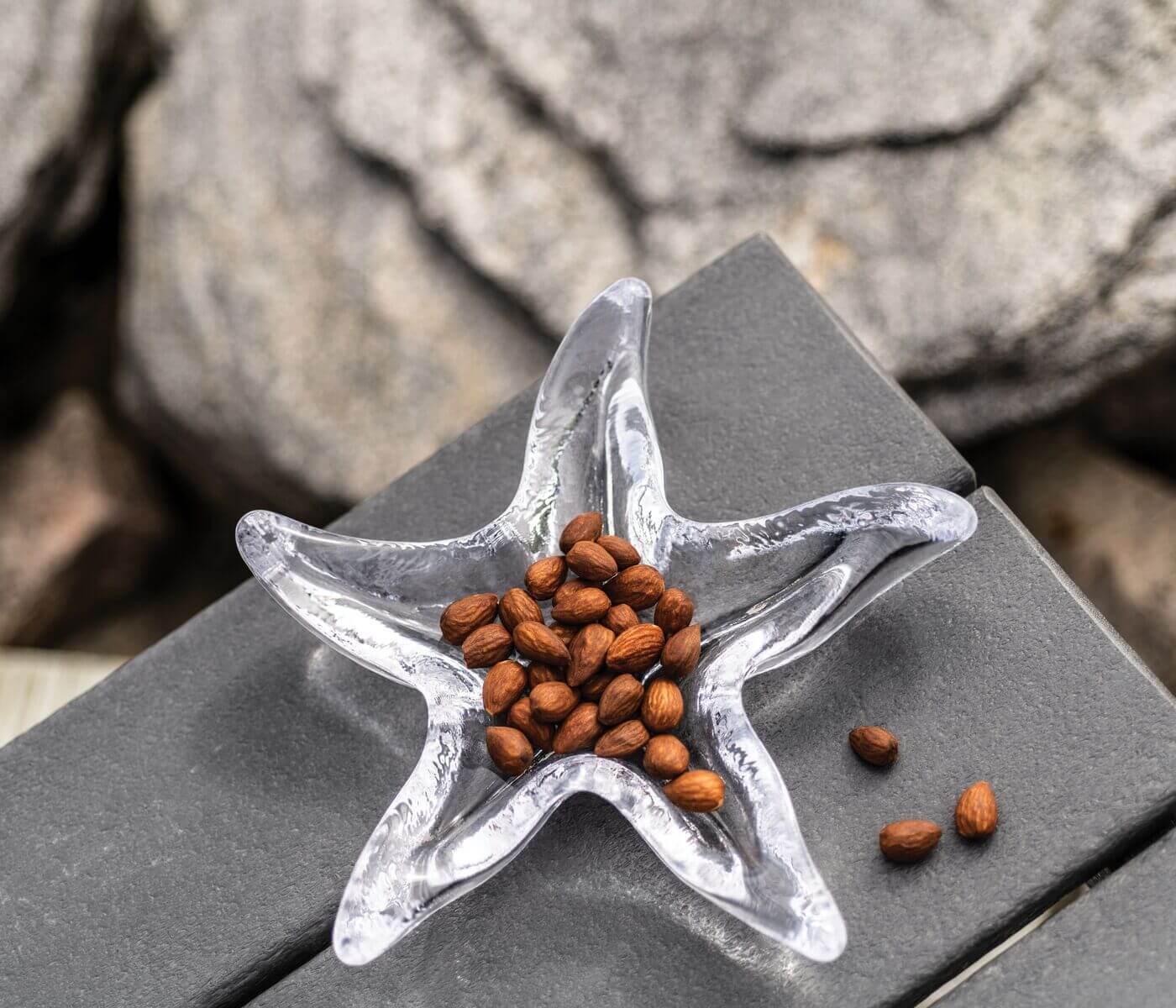 Starfish Dish - Image 3