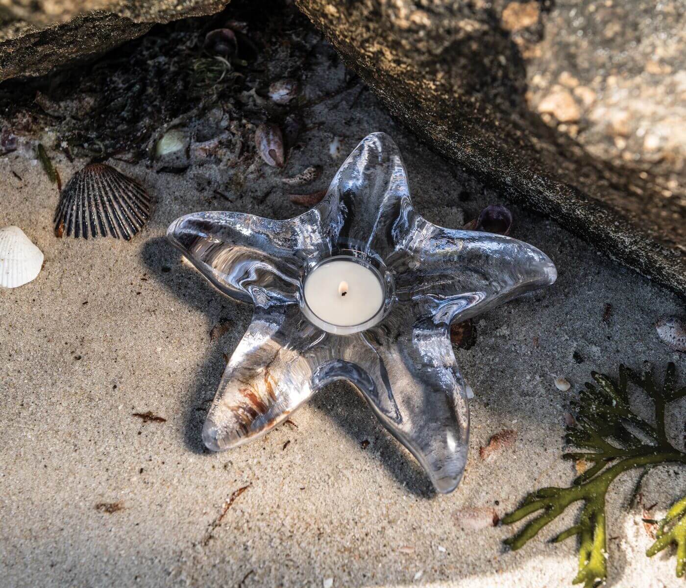 Starfish Tealight in Gift Box - Image 5