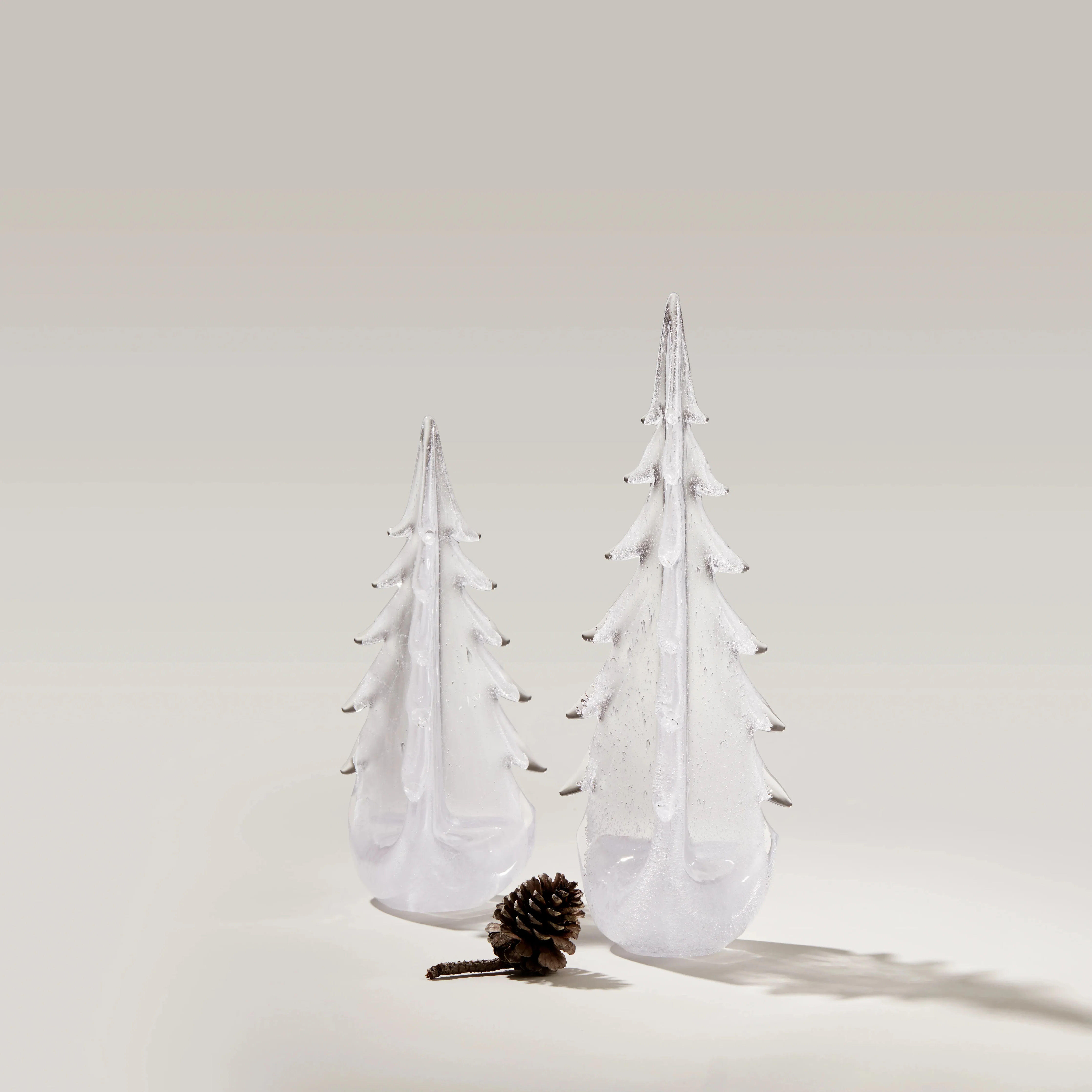 Vela Evergreen in Gift Box - Image 2