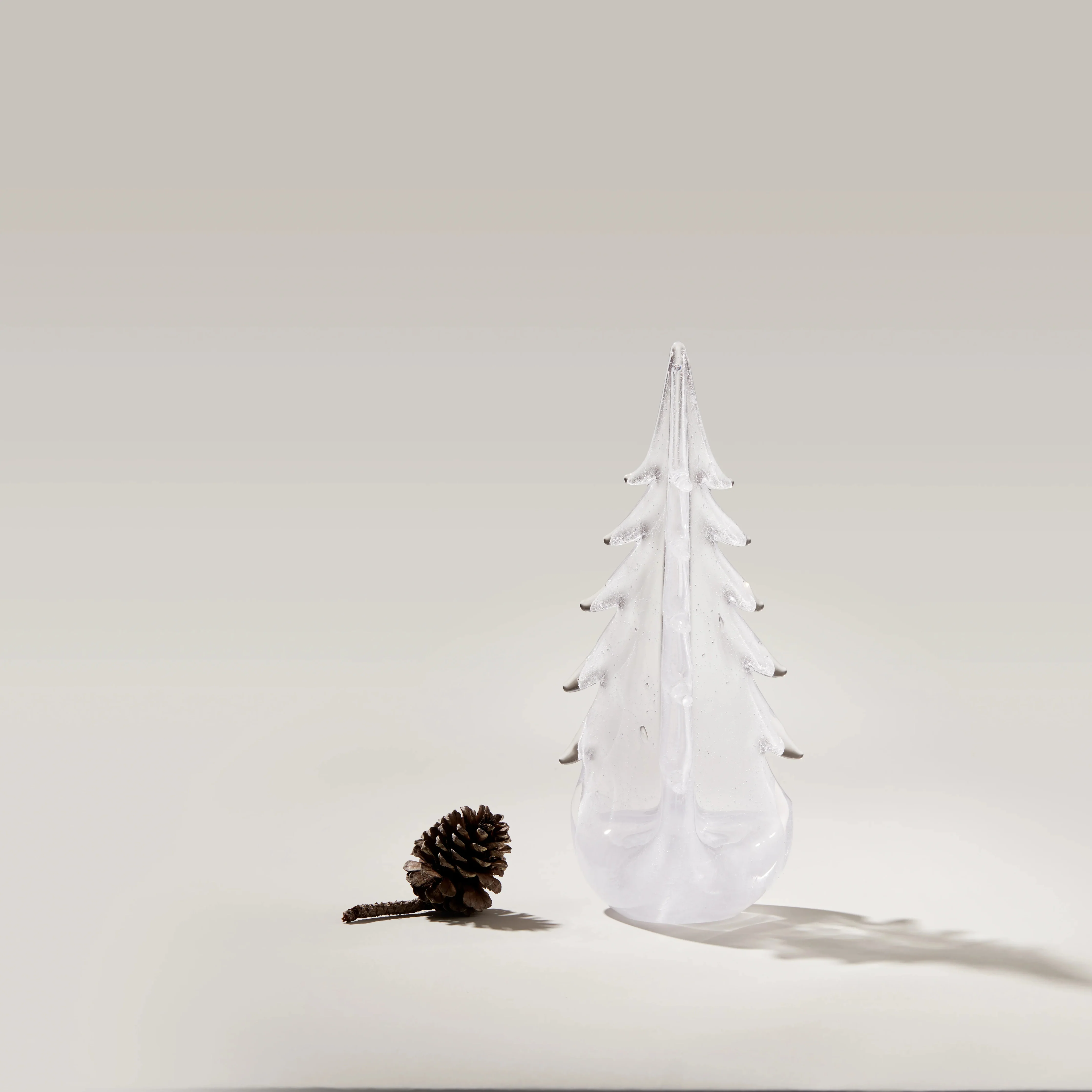 Vela Evergreen in Gift Box - Image 3