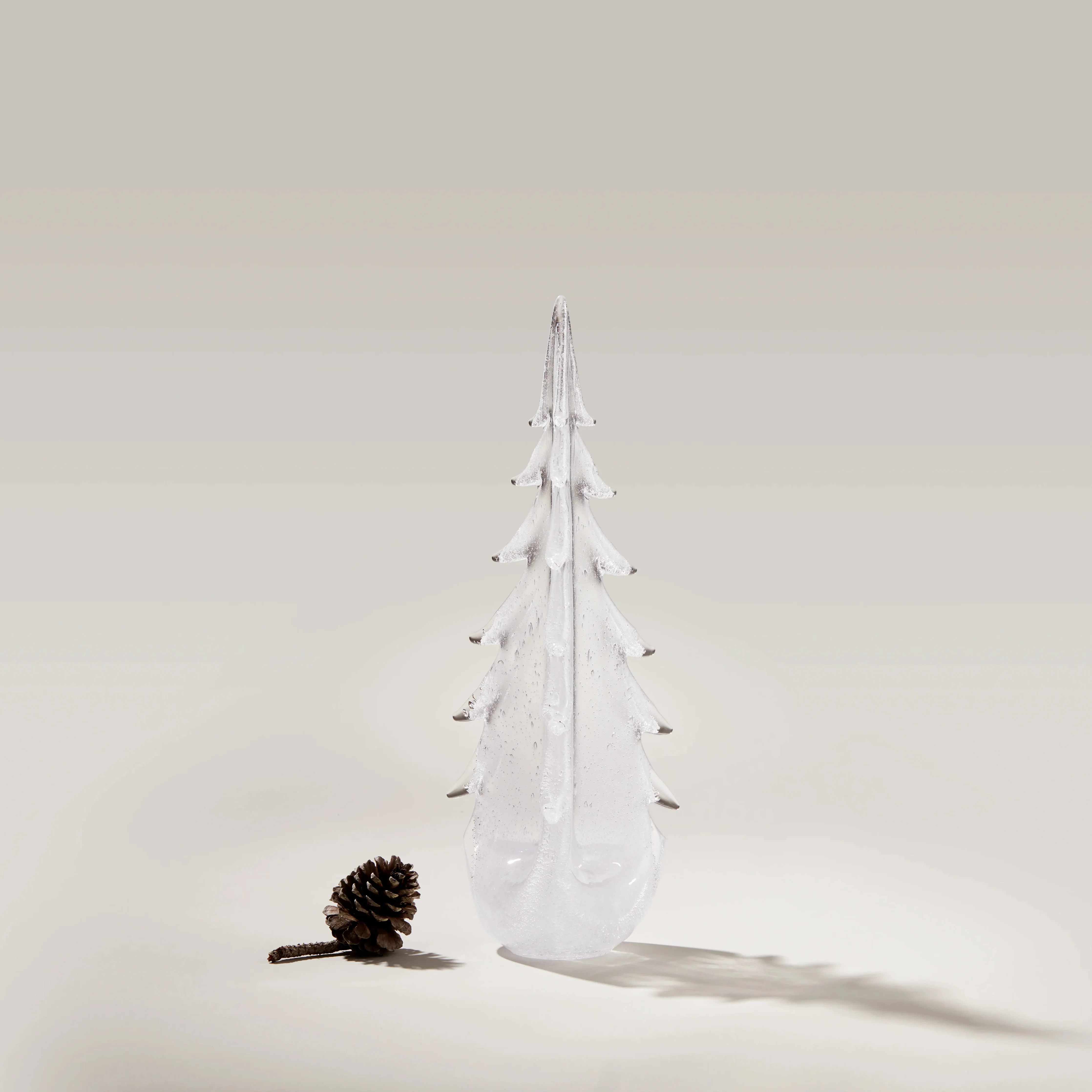 Vela Evergreen in Gift Box - Image 4