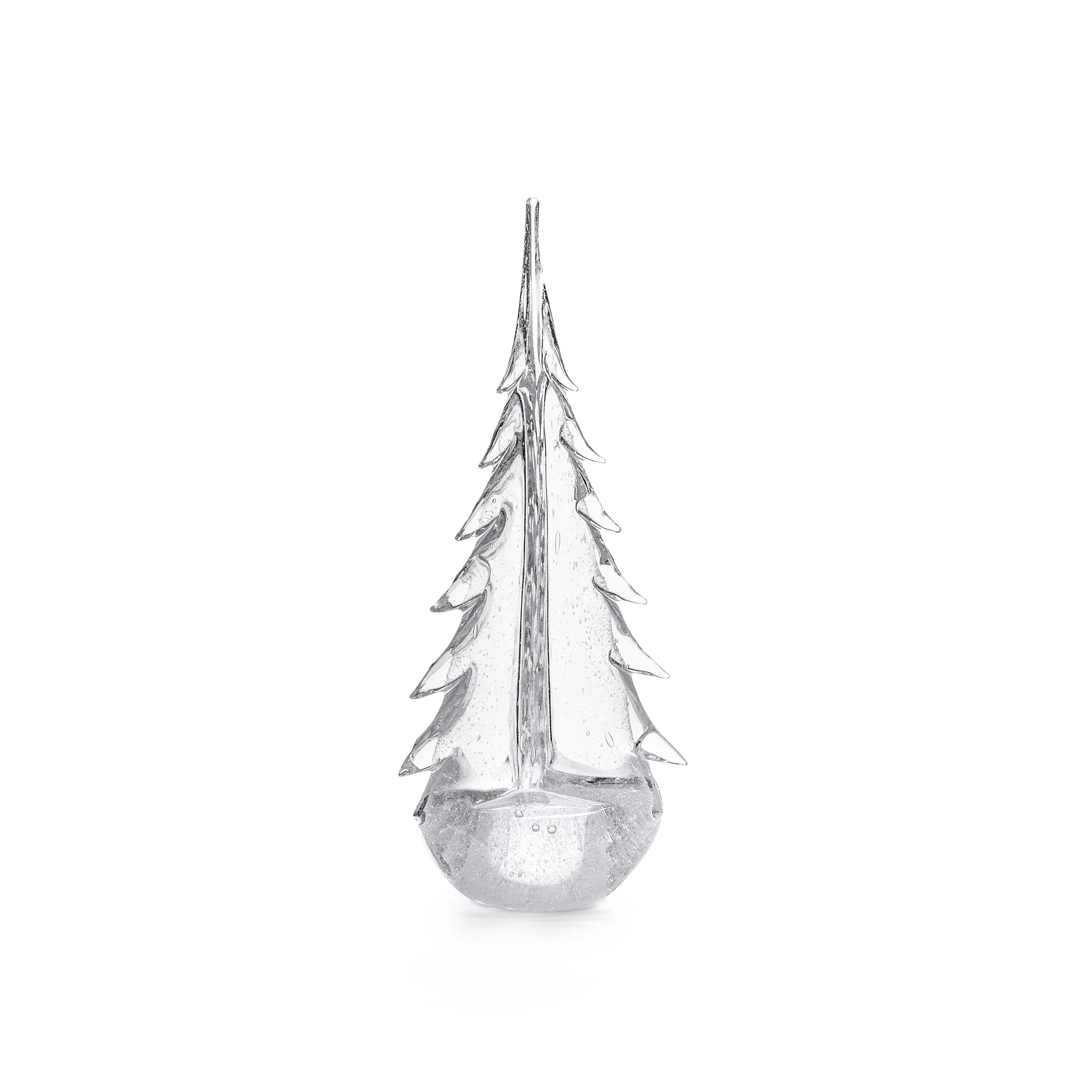Vela Evergreen in Gift Box - Image 7